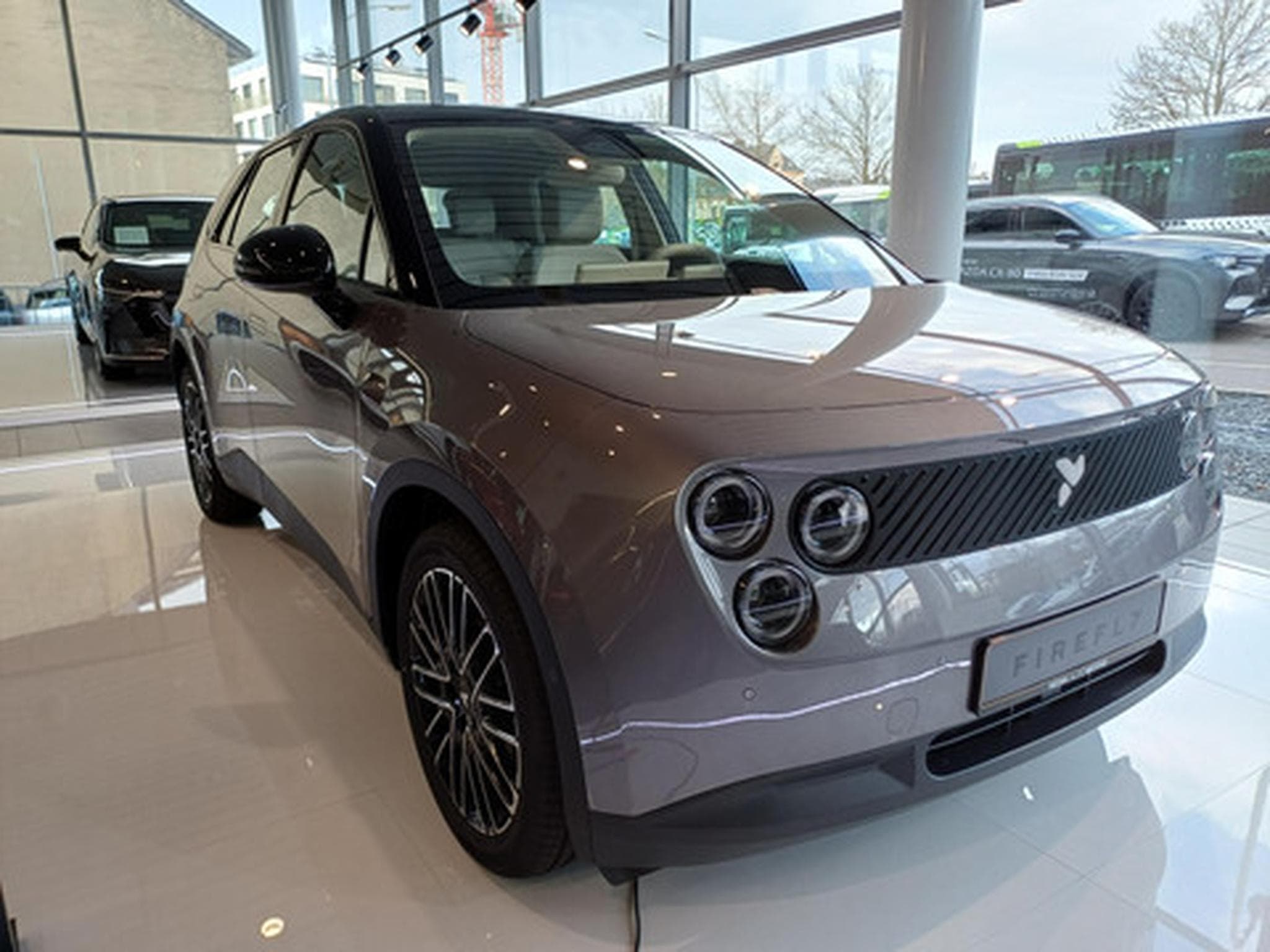 Firefly Comfort (2026) - Foto 2