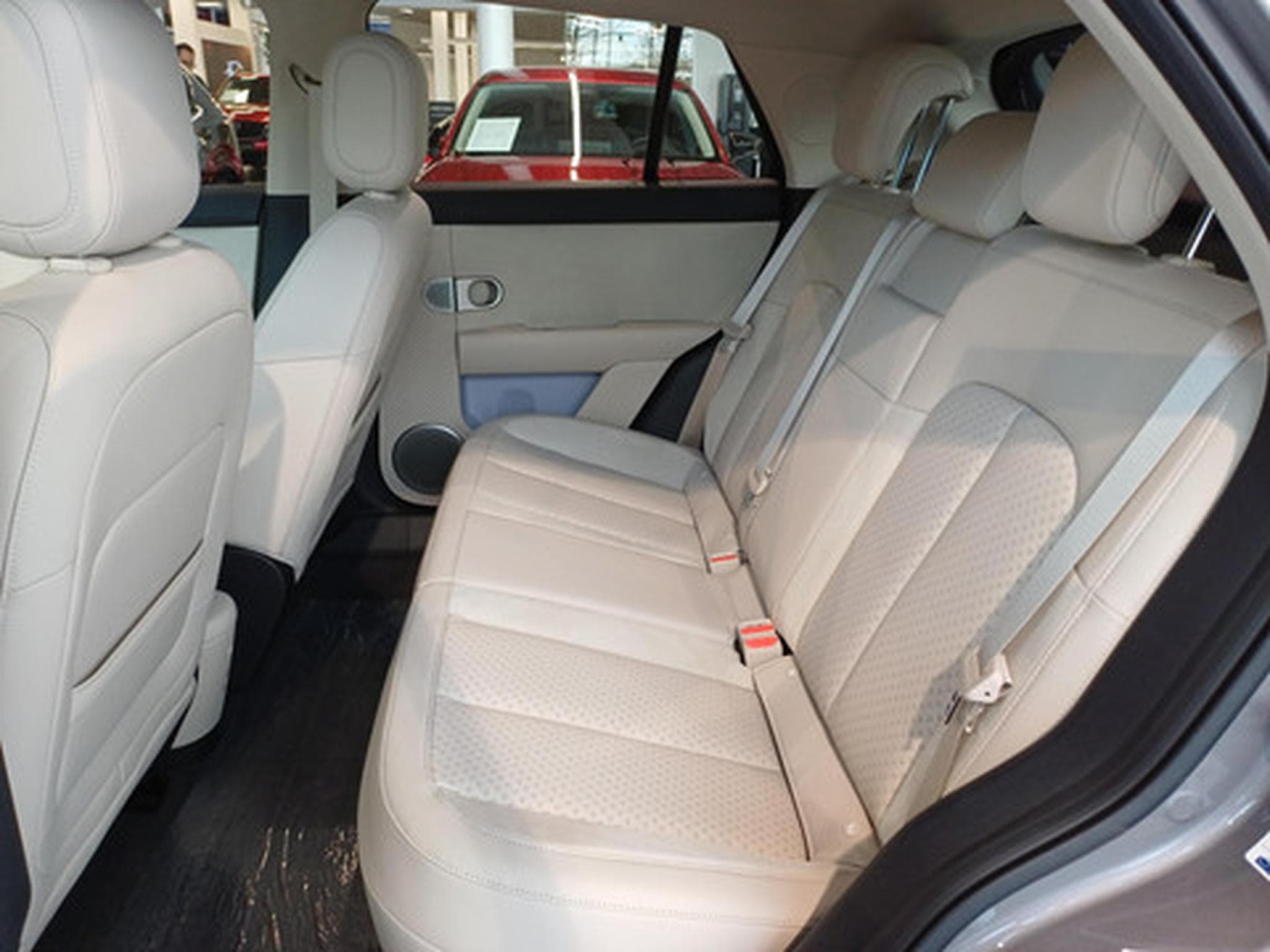 Firefly Firefly Comfort (2026) - Photo 9