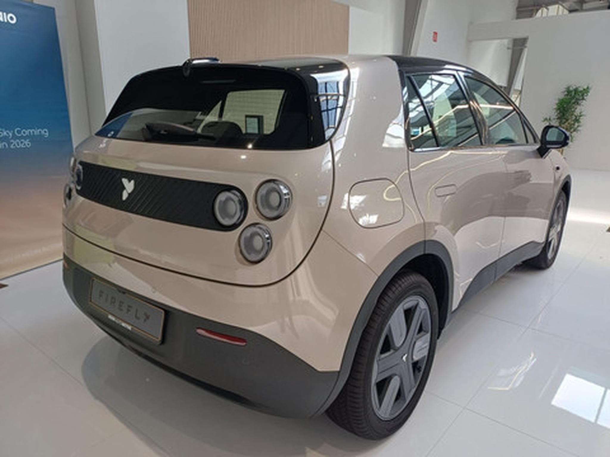 Firefly Select BEV 41kWh Select (2026) - Photo 4