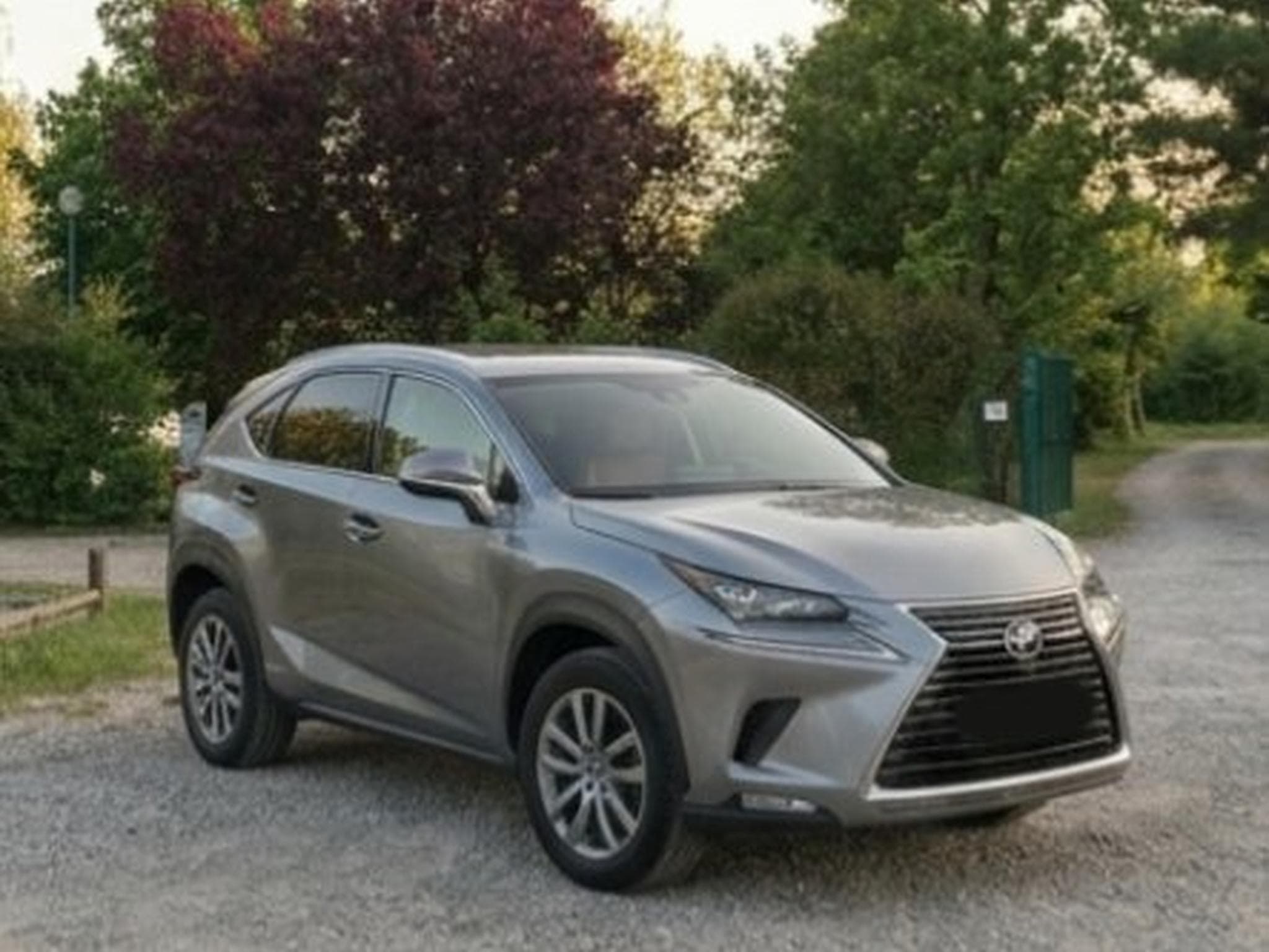 Lexus NX Executive (2017) - Photo 3