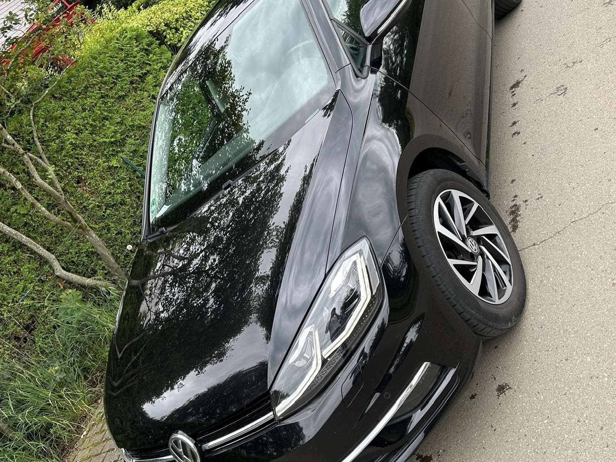 VW Golf VII (2019) - Photo 2