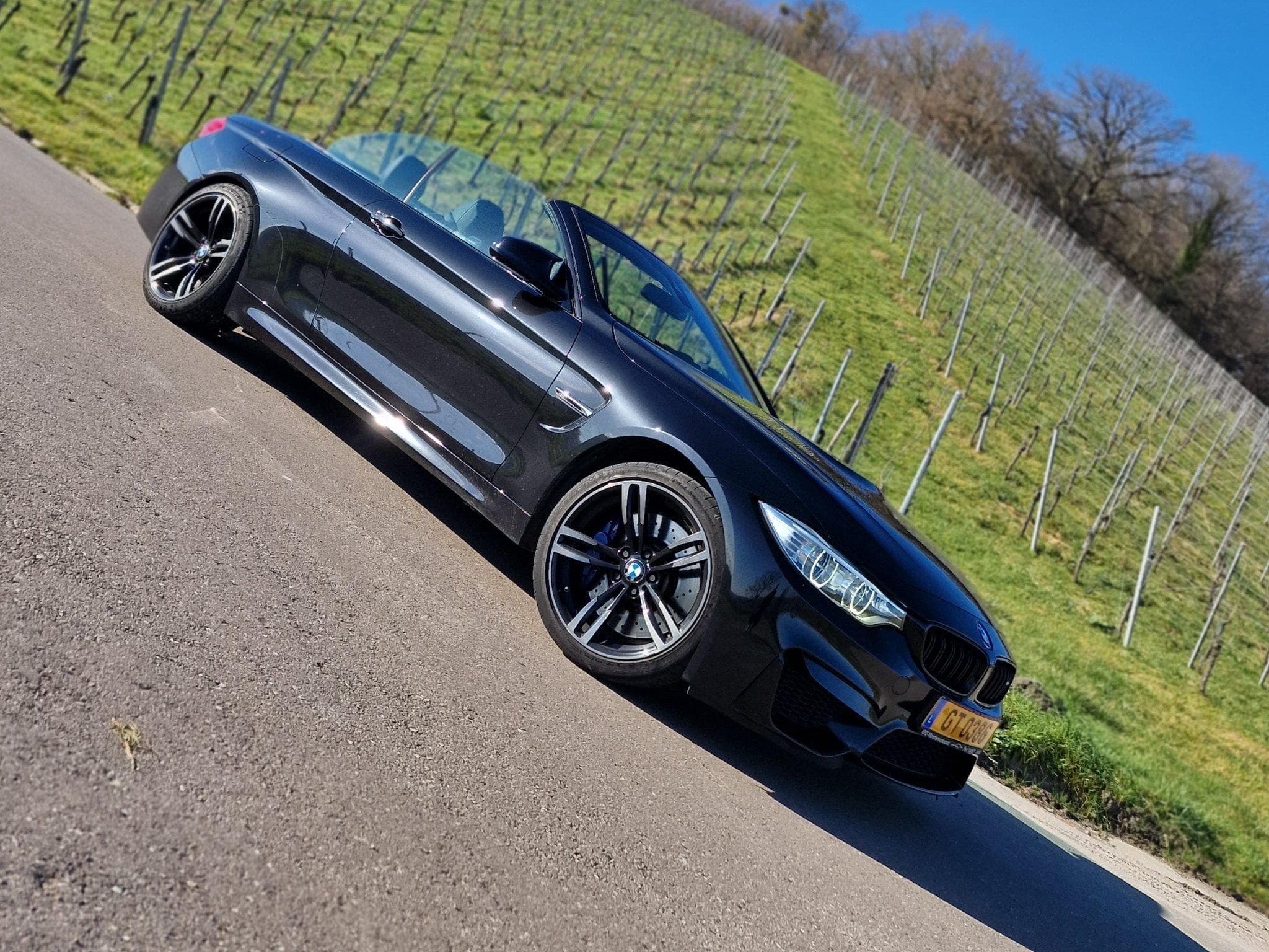 BMW M4 (2015) - Photo 3