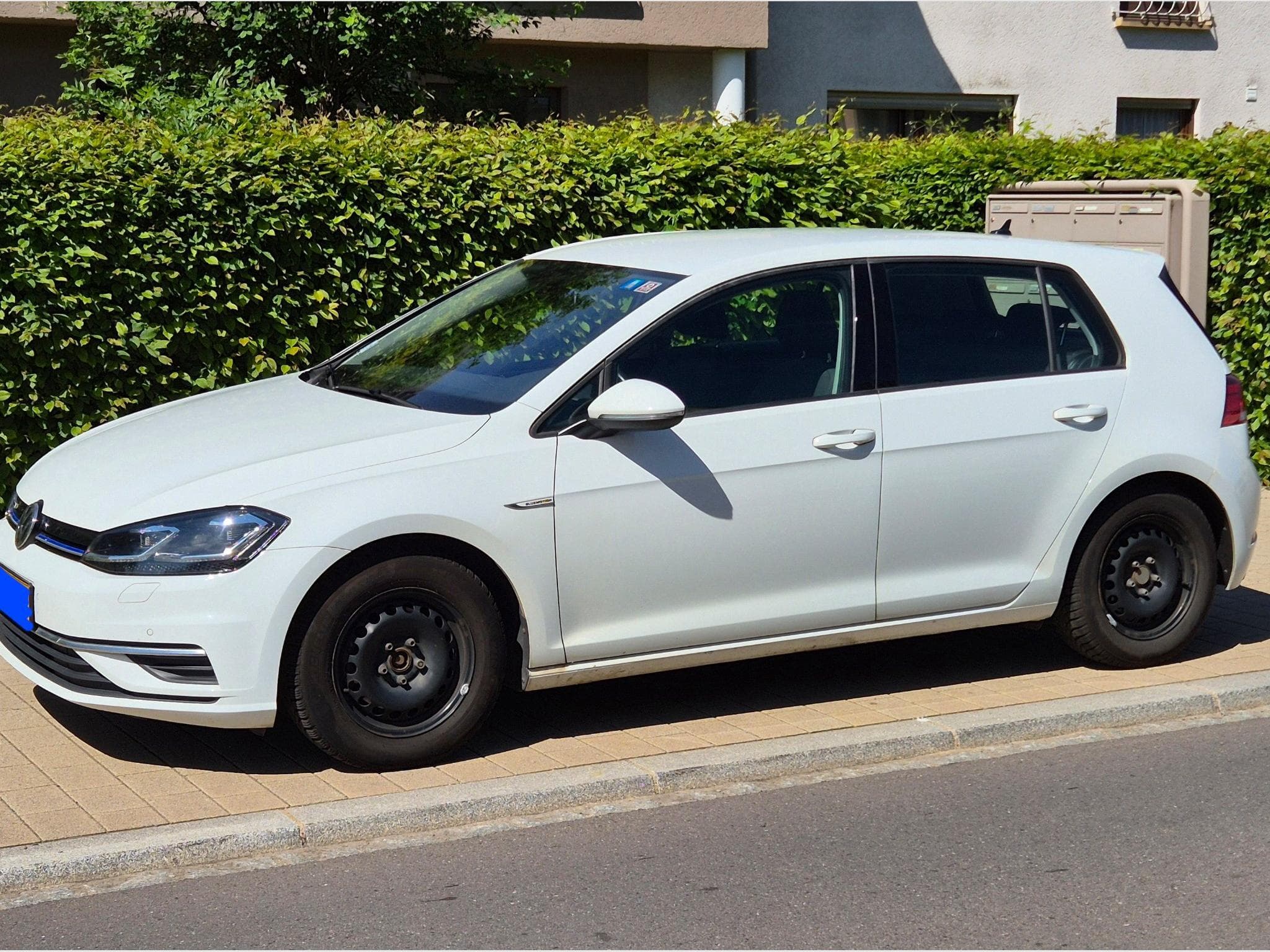 VW Golf VII Confortline 1,5 TSI 130 PS 6 Gang (2019) - Foto 2