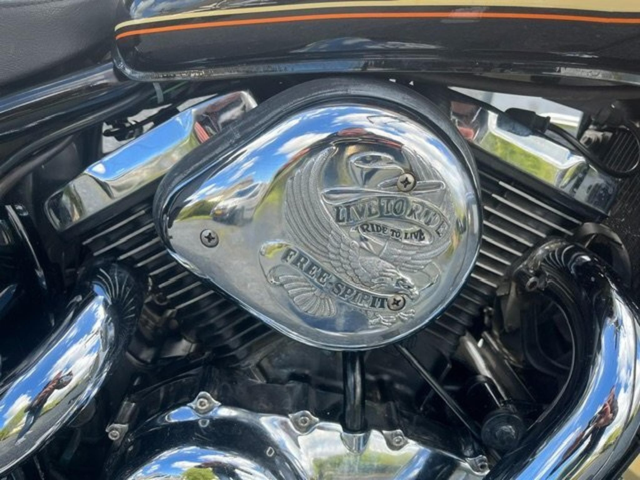Kawasaki VN Classic (1999) - Photo 2