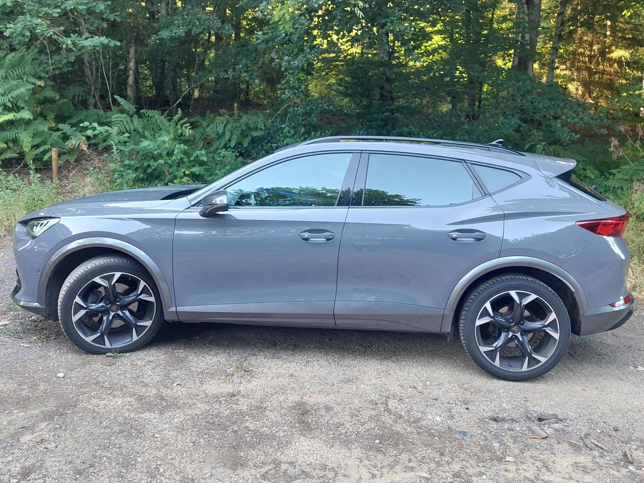 Cupra Formentor 2.0 TDI EVO 110KW/150CV,DSG7, 4Drive (2022) - Photo 2