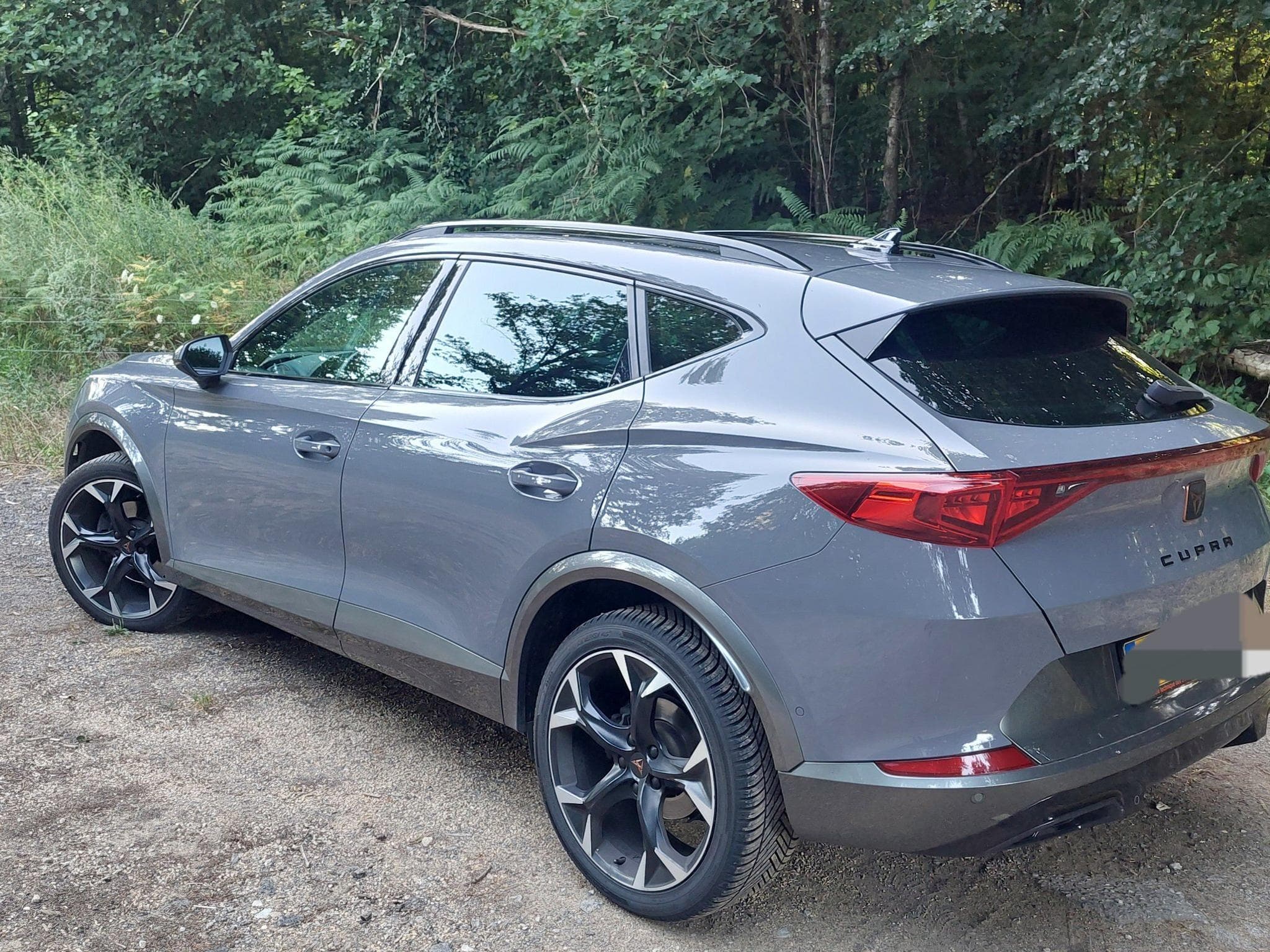 Cupra Formentor 2.0 TDI EVO 110KW/150CV,DSG7, 4Drive (2022) - Photo 1