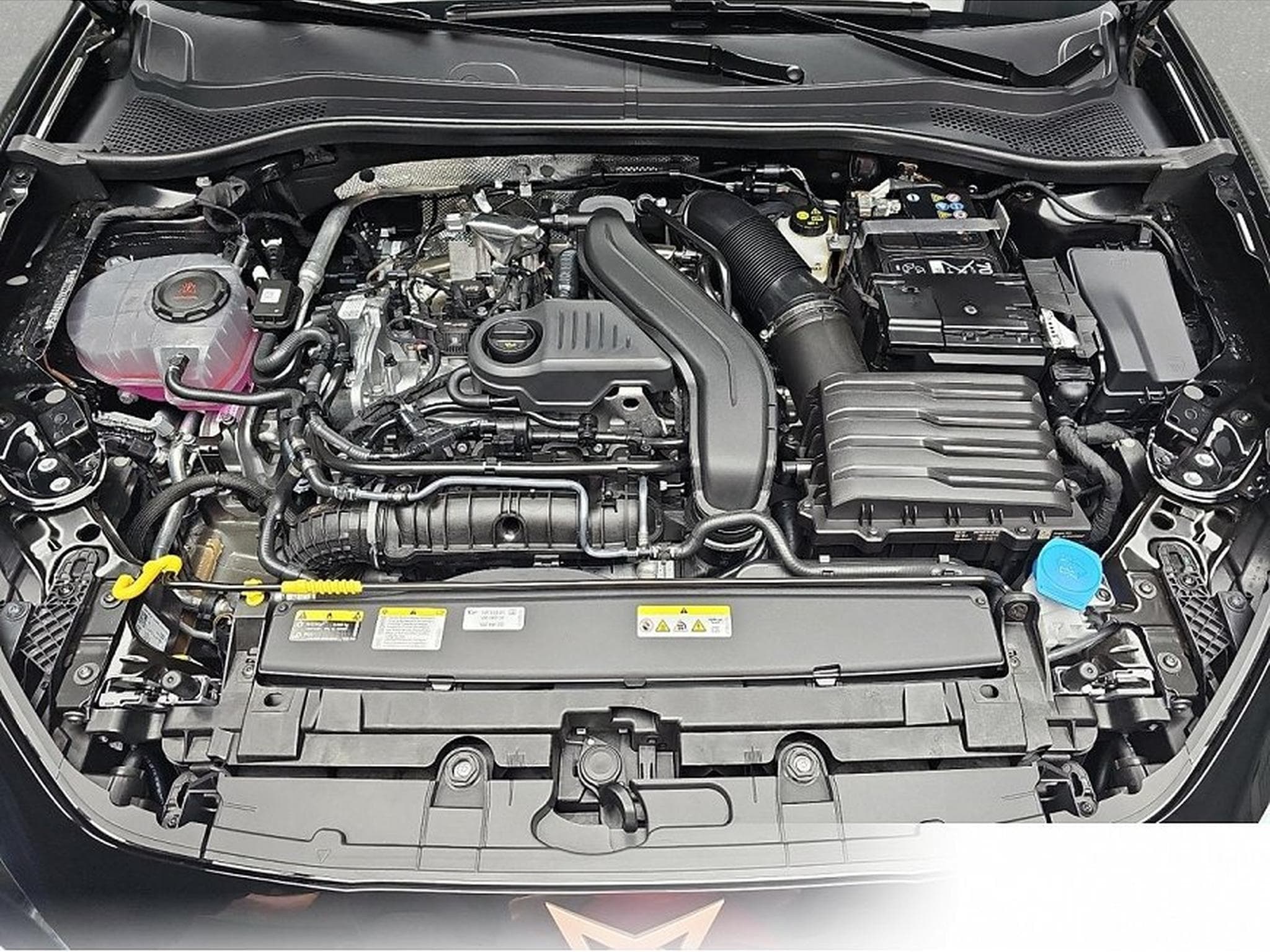 Cupra Leon (2026) - Foto 14