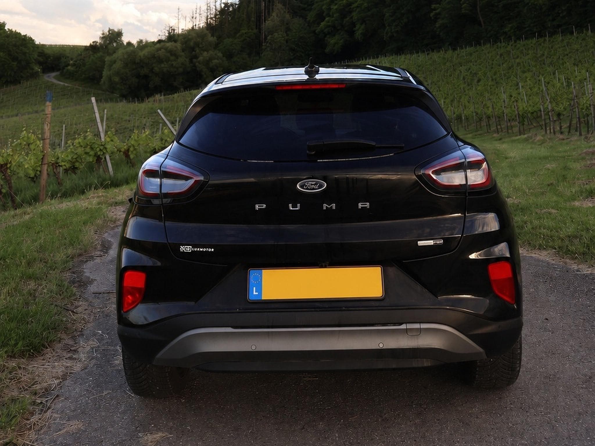 Ford Puma Titanium X 1.0i EcoBoost (2023) - Photo 2