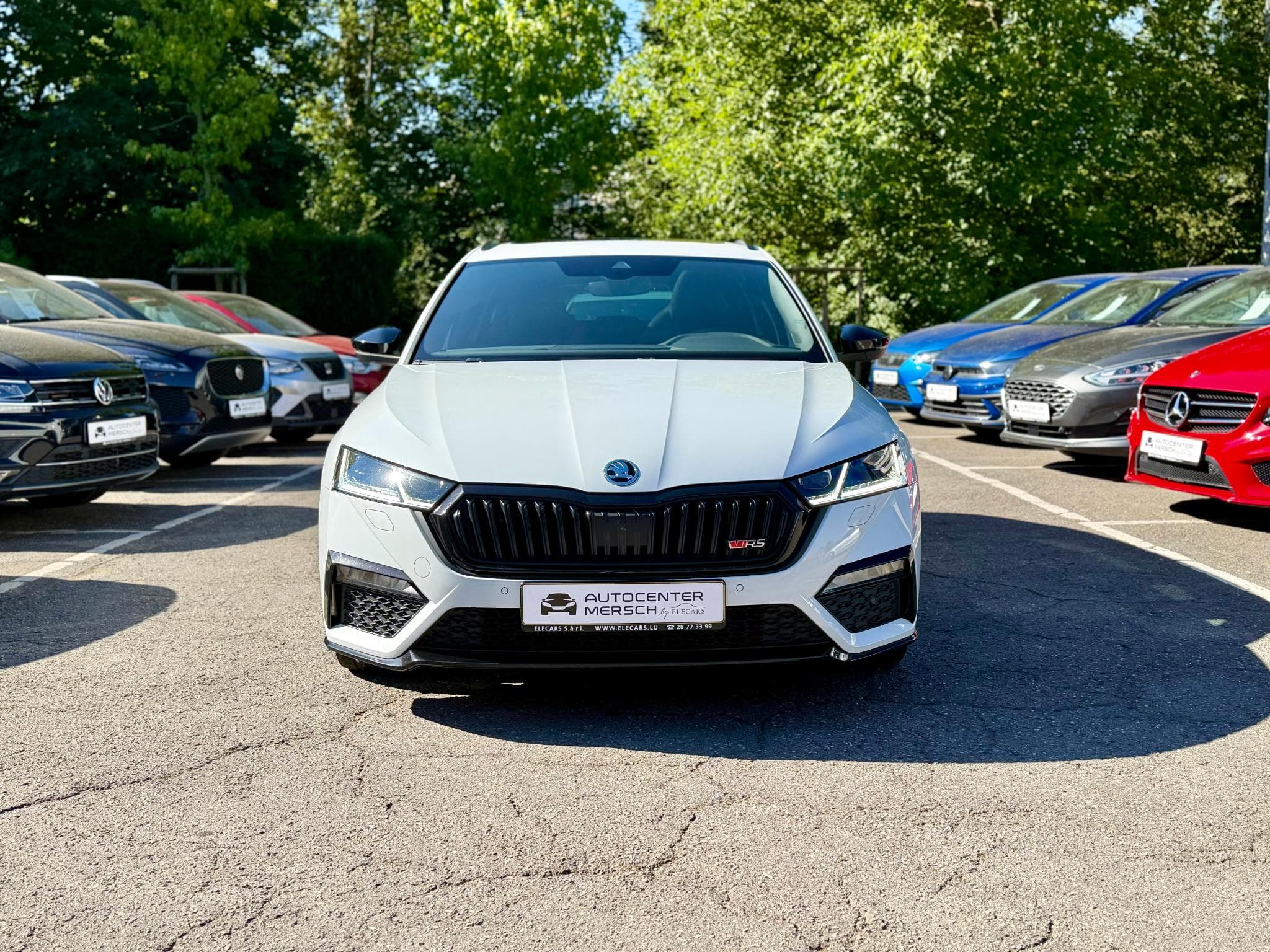 Skoda Octavia Combi 2.0 Tdi RS DSG PANO/CAM/ACC (2023) - Photo 2