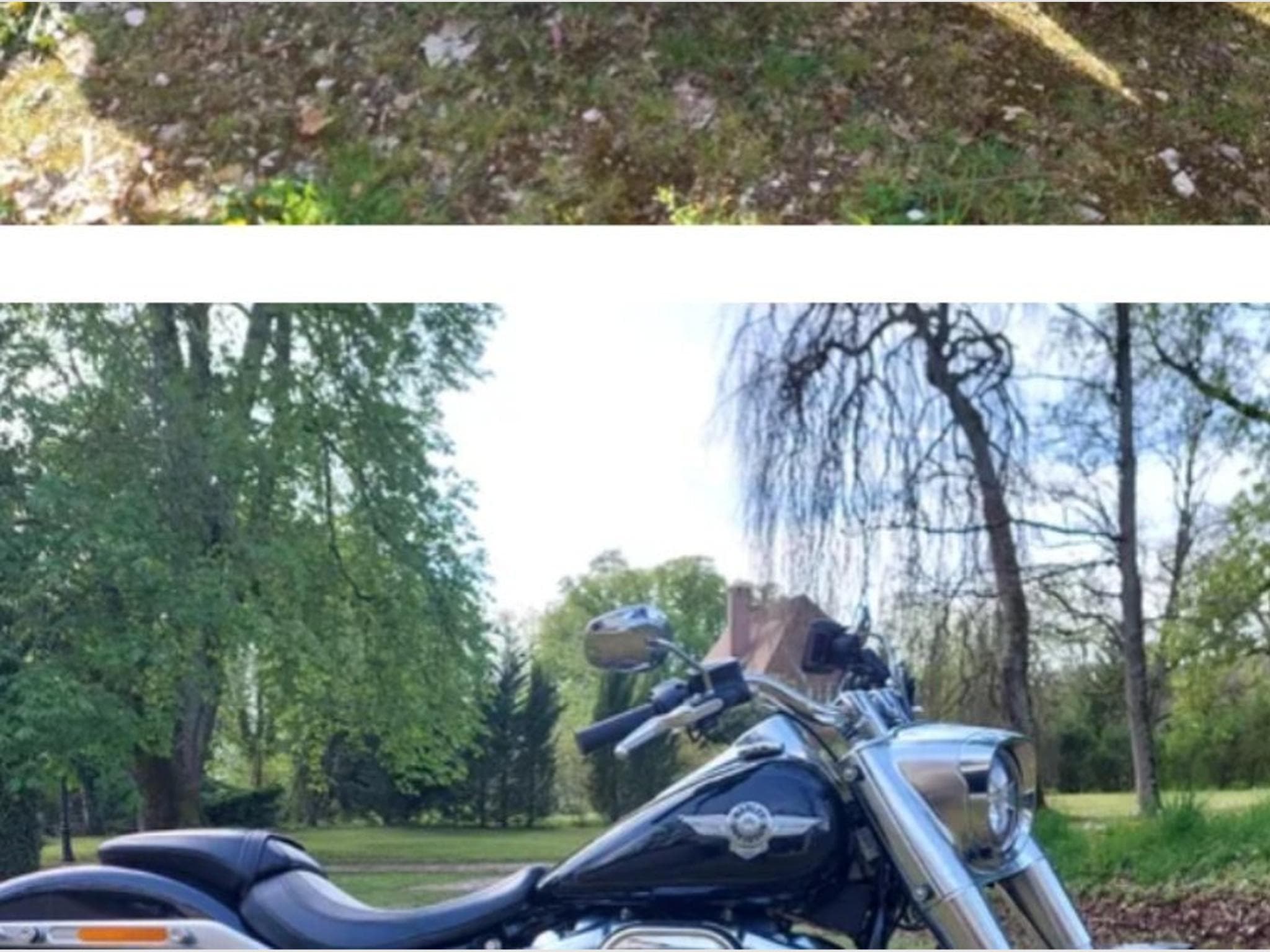 Harley-Davidson Fat Boy Fat boy 114 (2019) - Photo 2