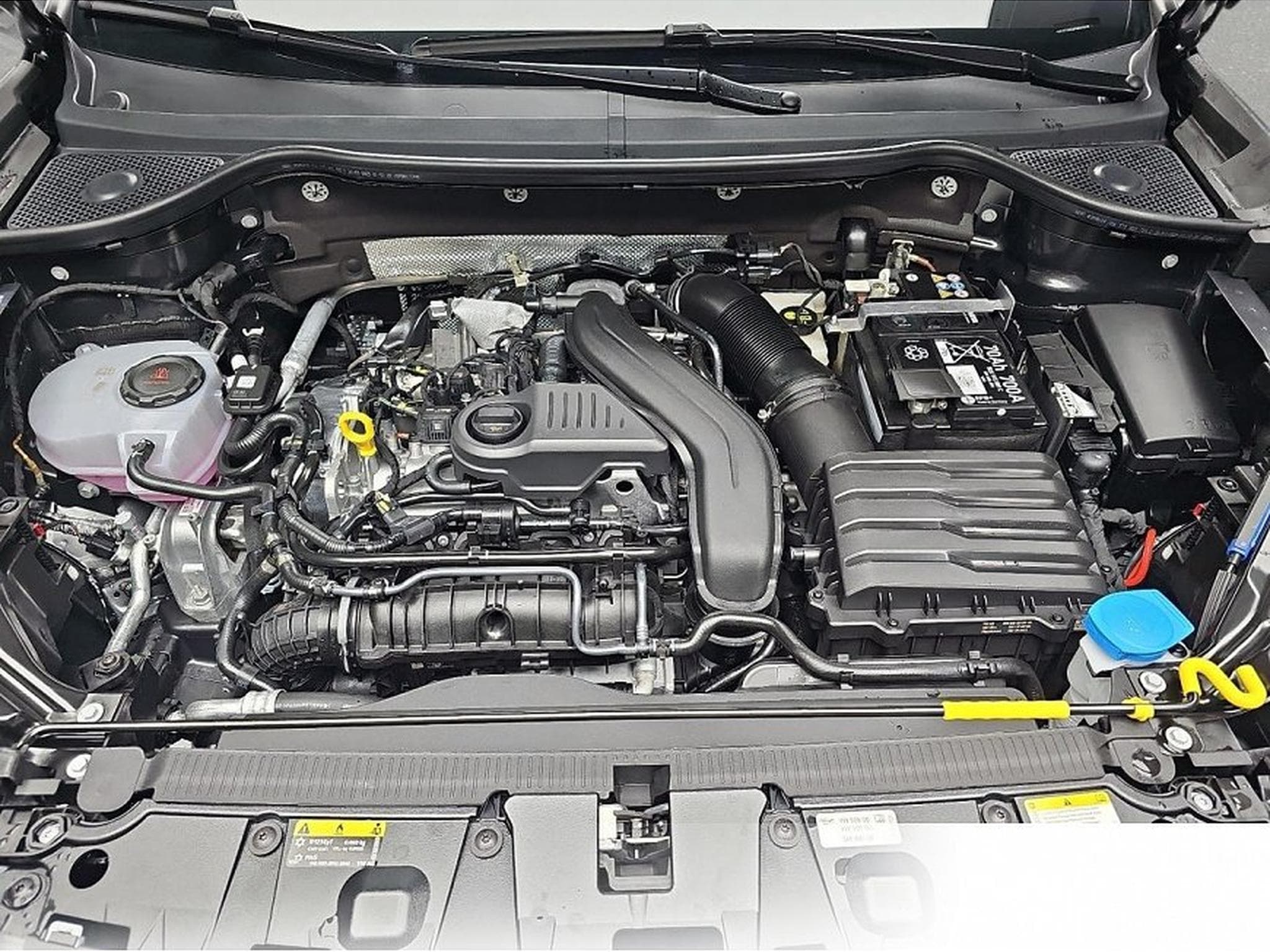 Cupra Ateca (2026) - Photo 14