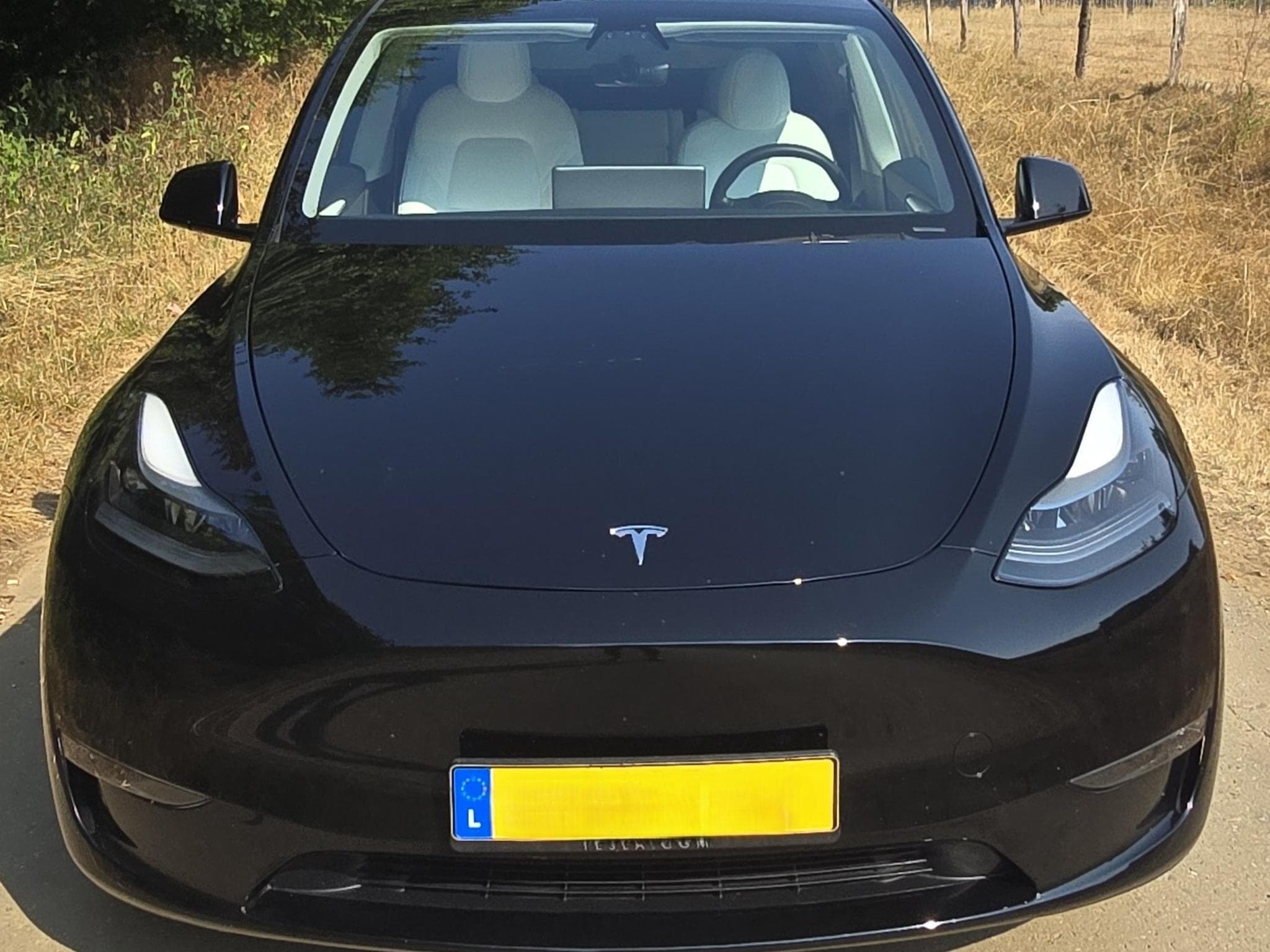 Tesla Model Y (2023) - Foto 1