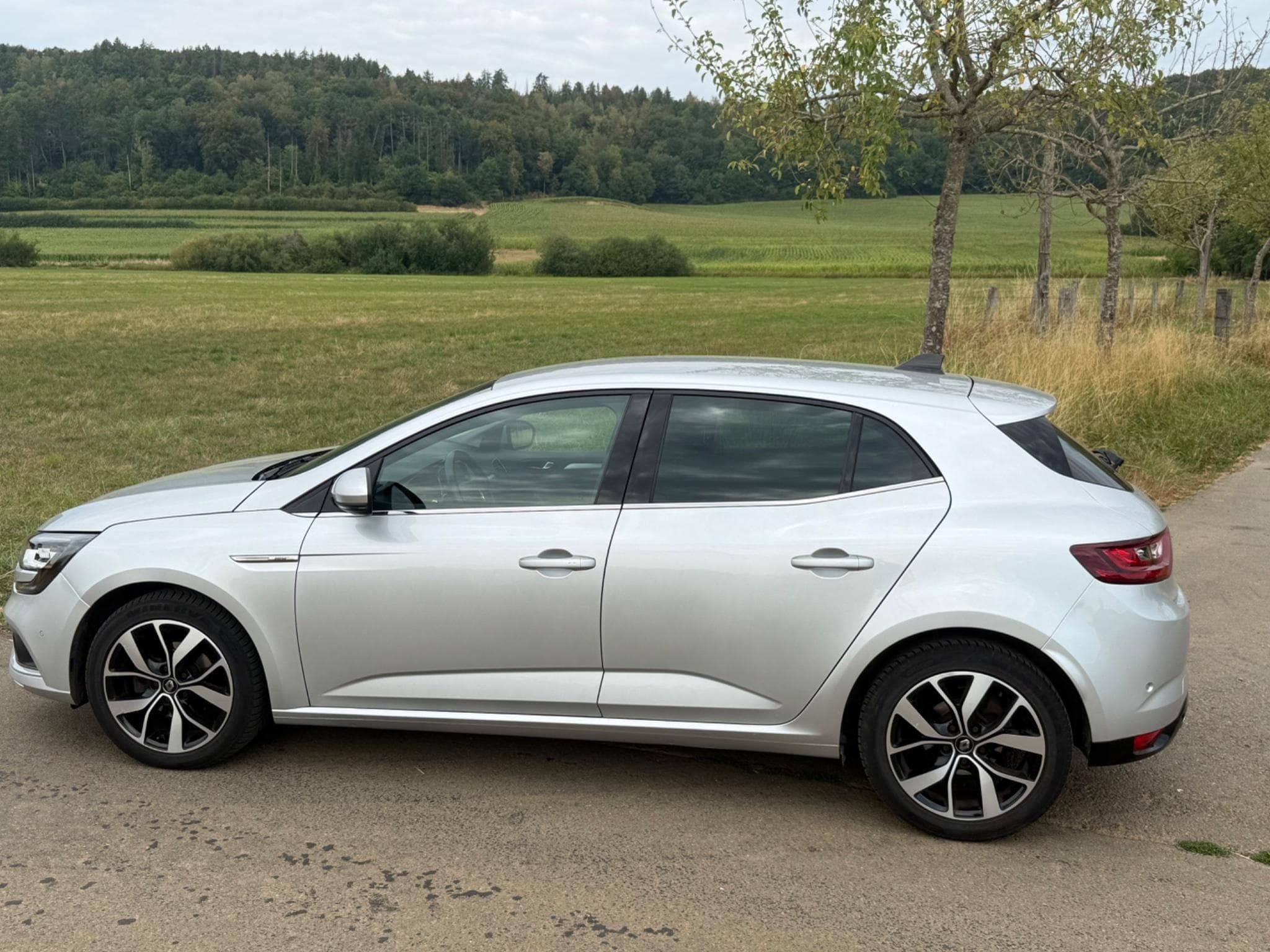 Renault Megane Bose Edition blue dCi 115 (2020) - Photo 8