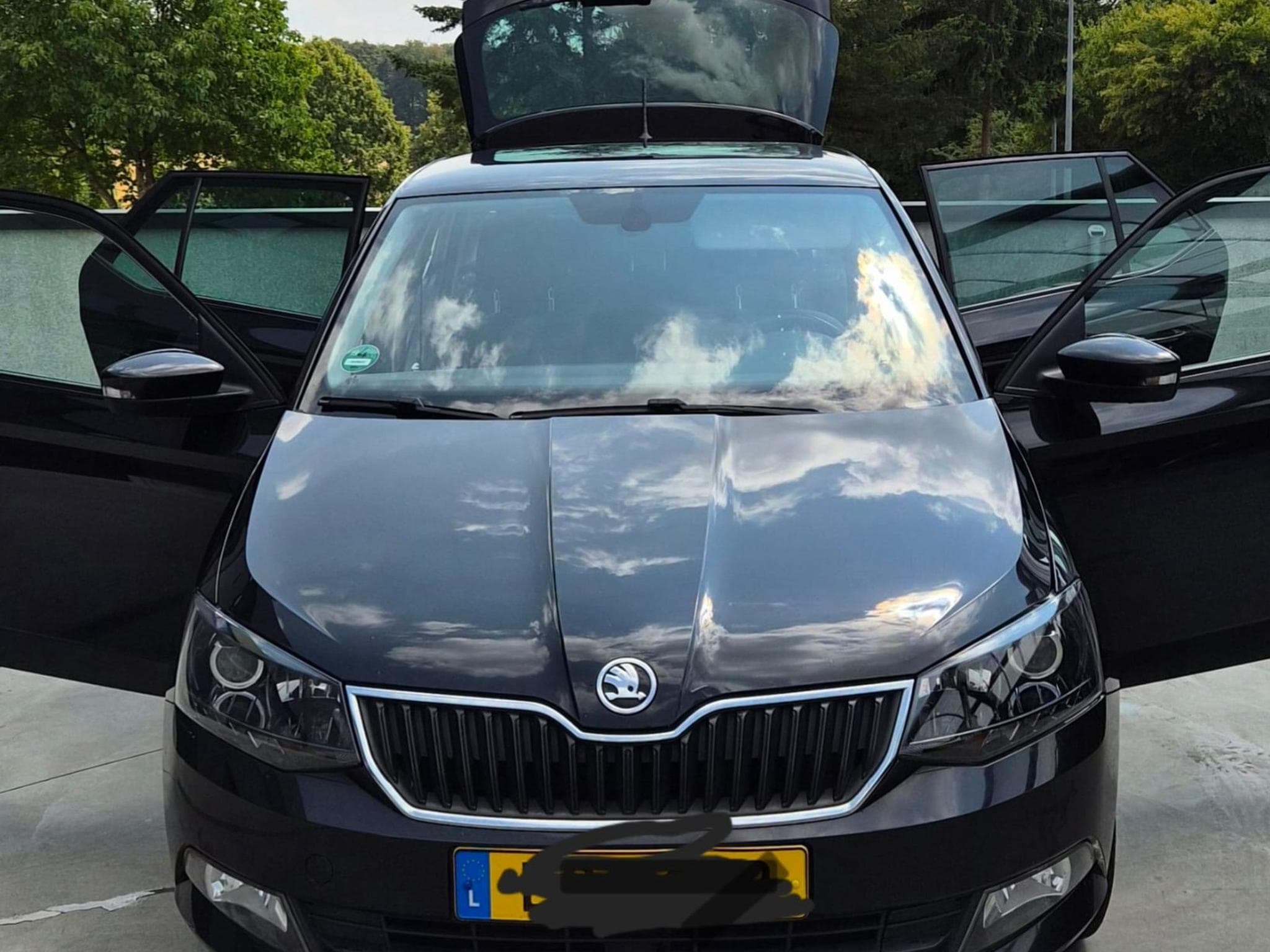 Skoda Fabia Joy (2017) - Photo 2