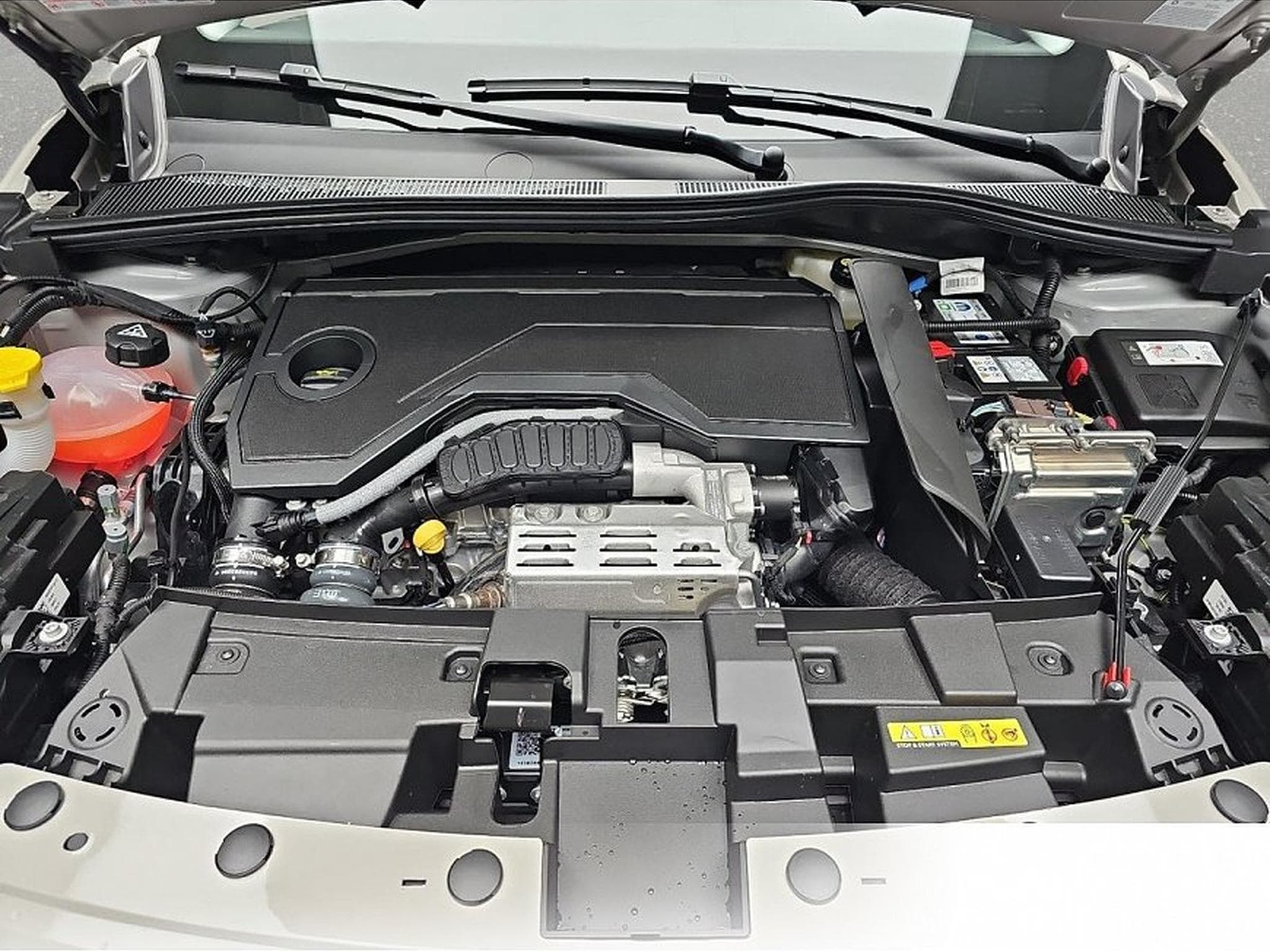 Fiat 600 (2026) - Foto 14