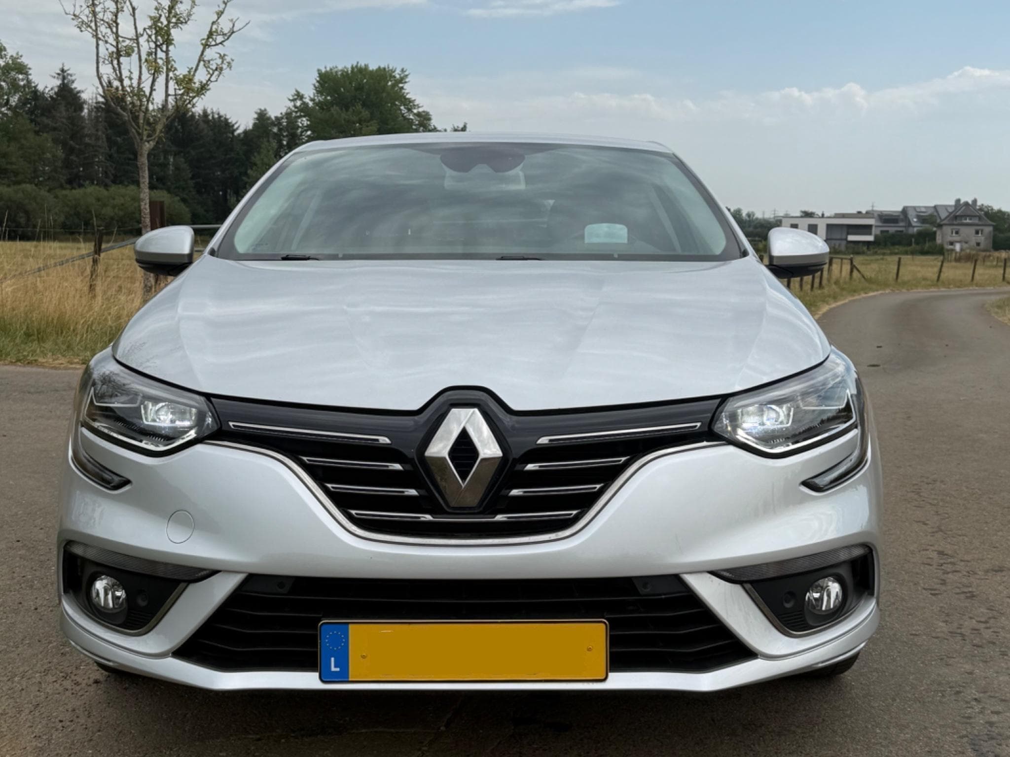Renault Megane Bose Edition blue dCi 115 (2020) - Photo 1