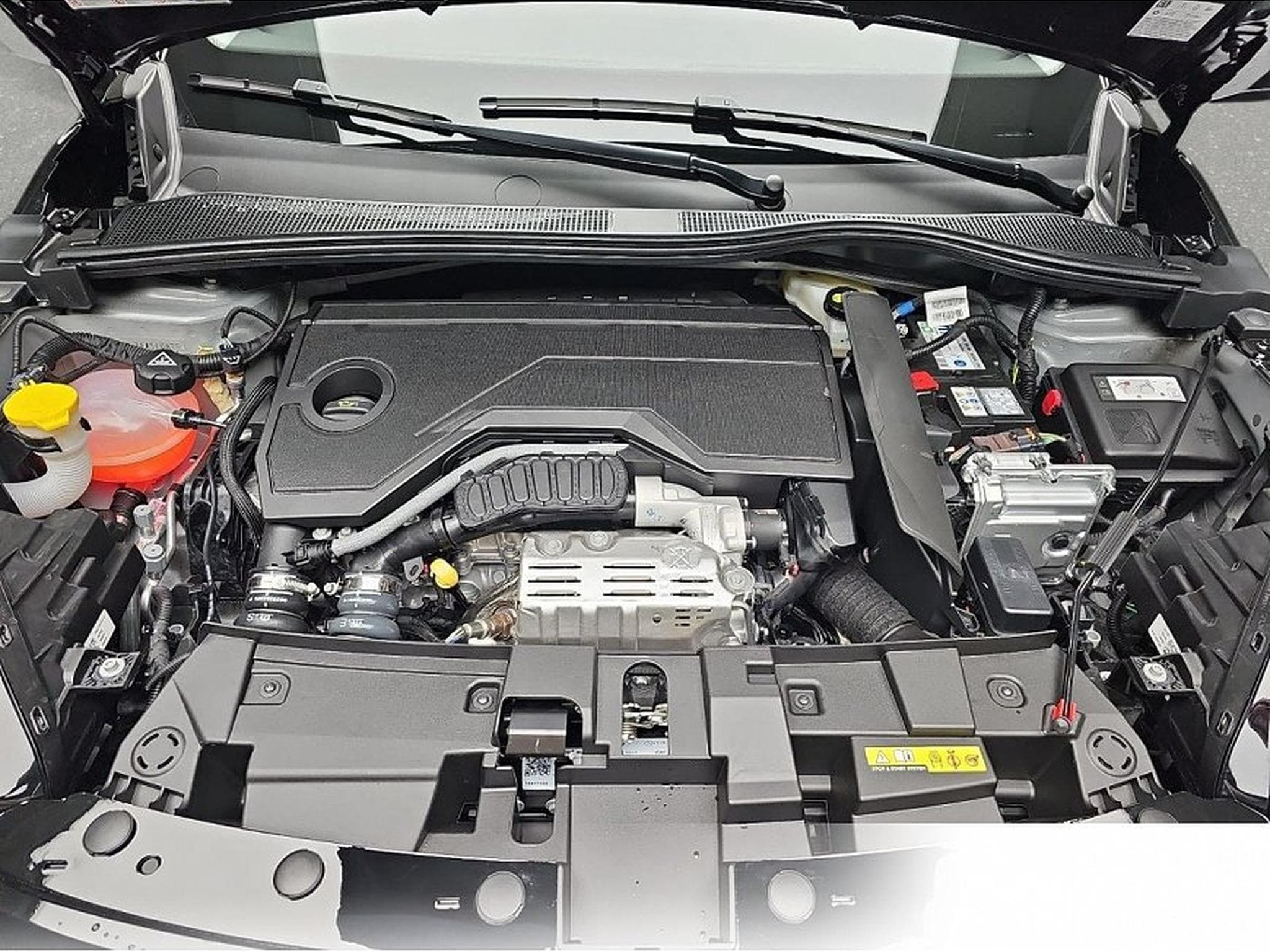 Fiat 600 (2026) - Foto 14