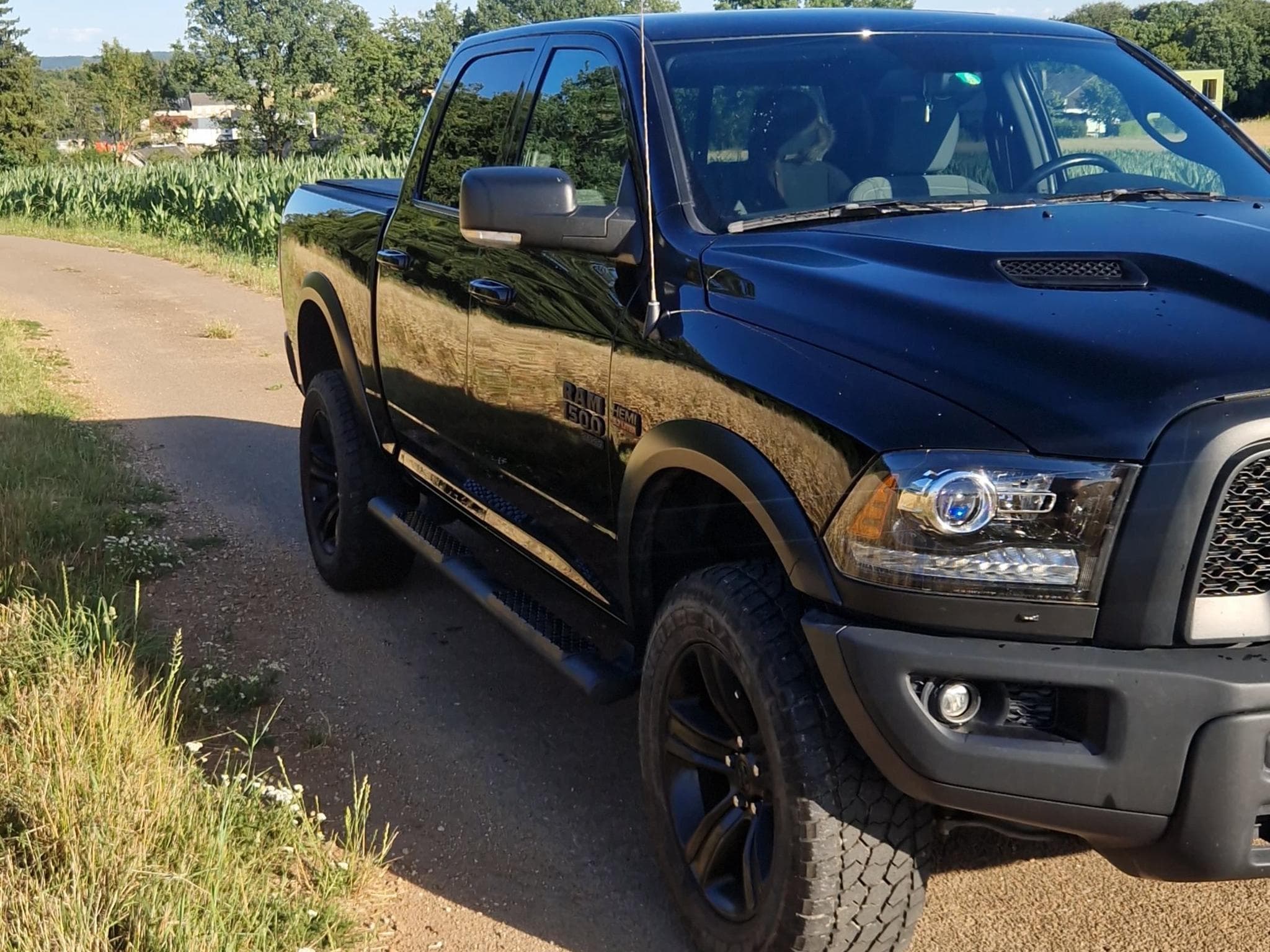 Dodge RAM Classic Mudland Edition (2023) - Photo 3
