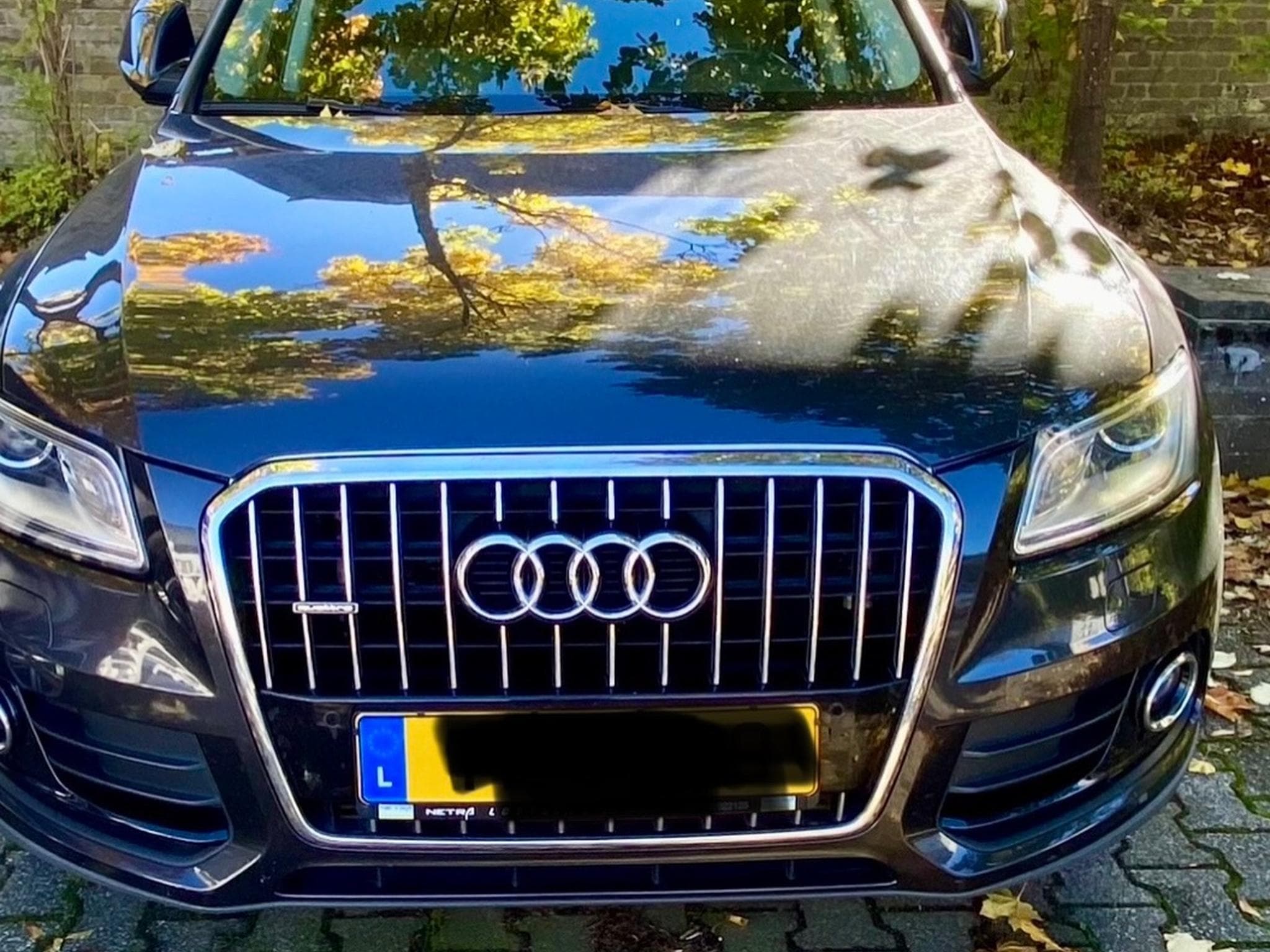 Audi Q5 S-tronic QUATRO (2012) - Photo 1