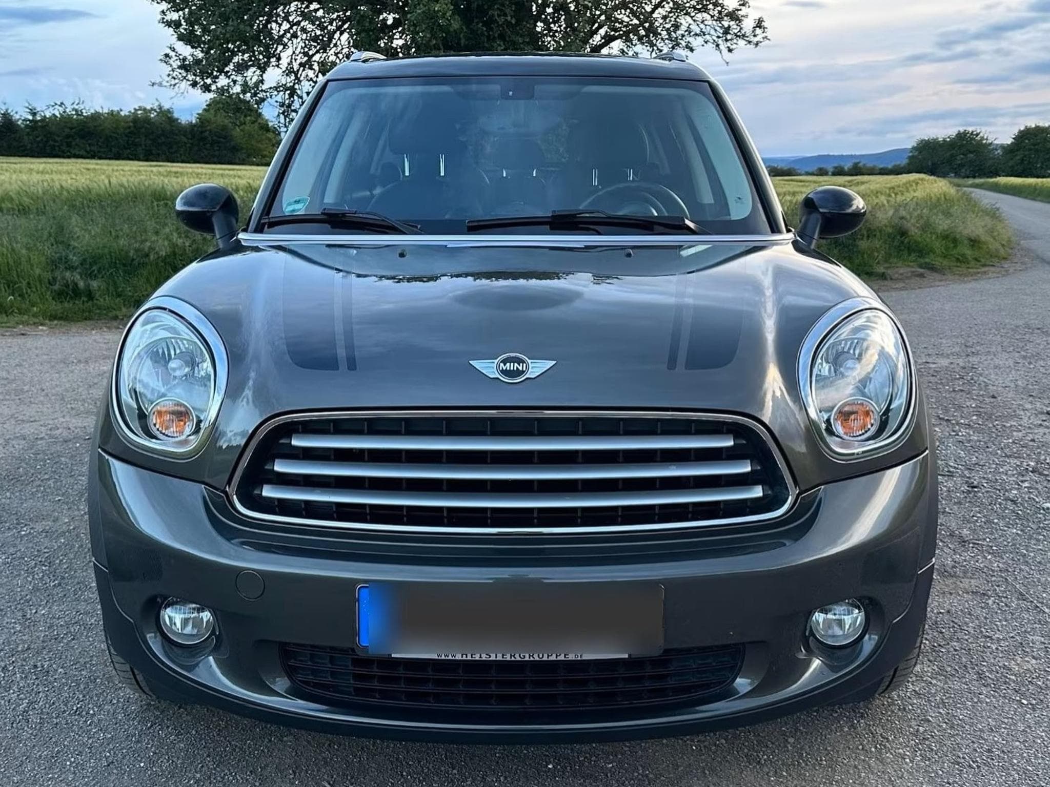Mini Countryman All4 (2015) - Foto 1