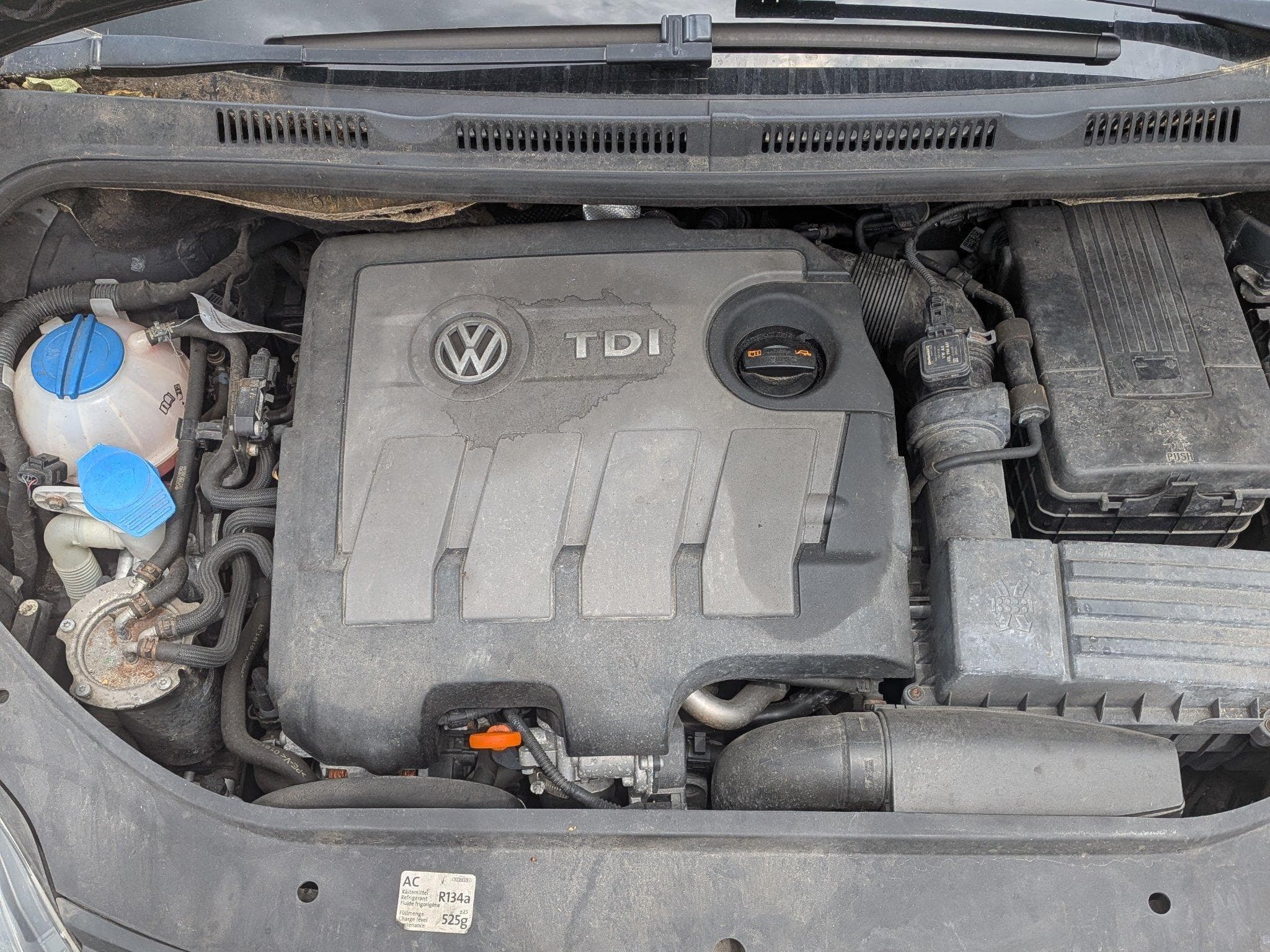 VW Golf Golf Plus 1.6 TDI diesel (2011) - Photo 7