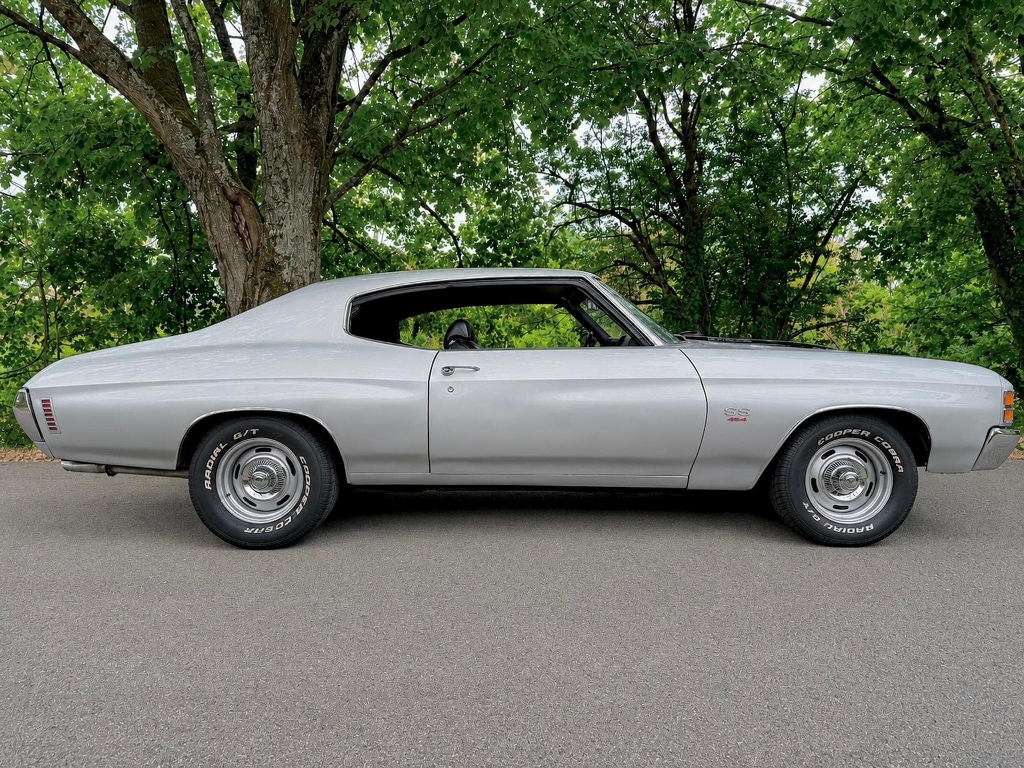 Chevrolet Chevelle 1971 Chevrolet Chevelle 454 V8 5 Speed (1971) - Photo 1