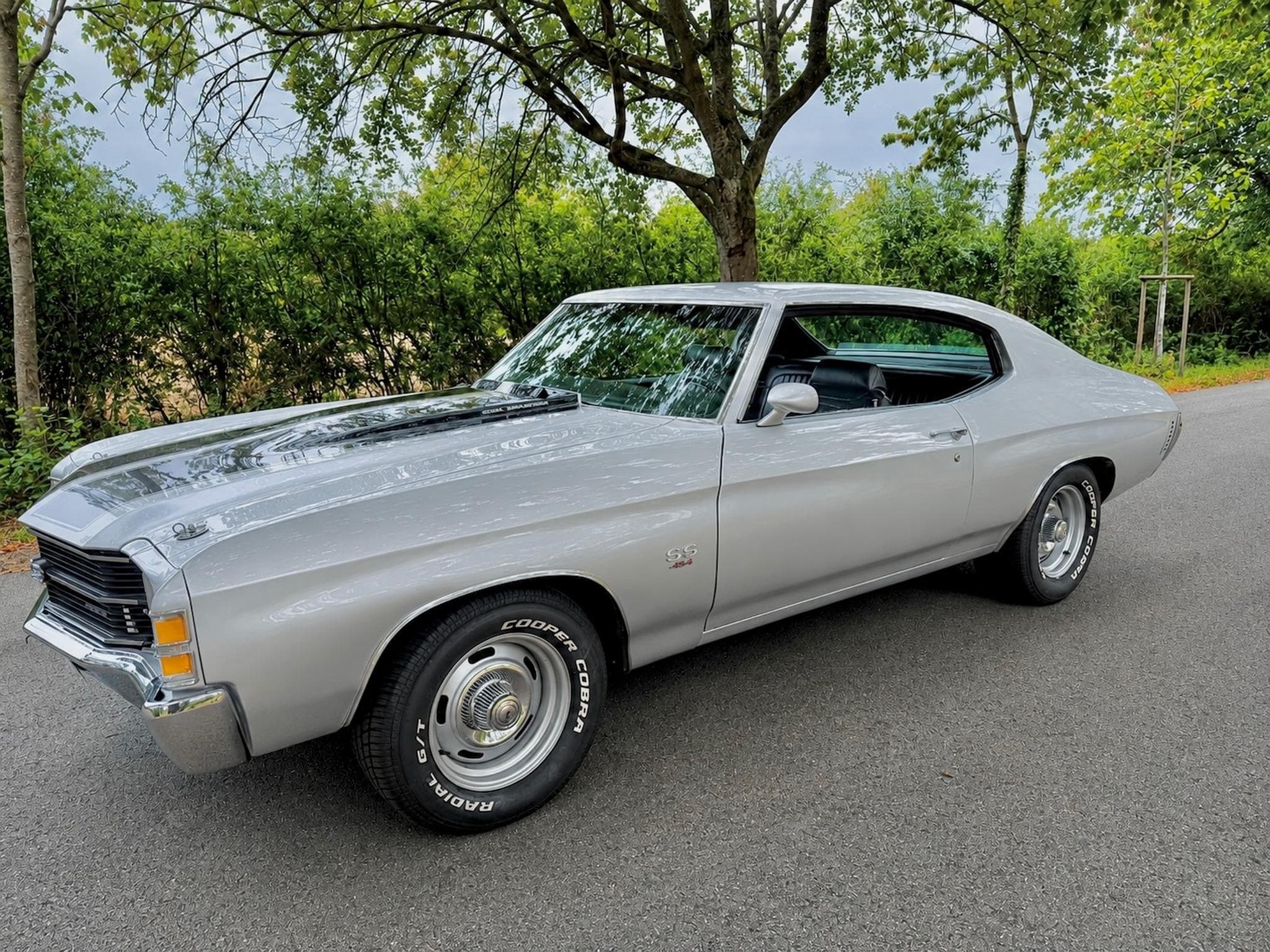 Chevrolet Chevelle 1971 Chevrolet Chevelle 454 V8 5 Speed (1971) - Photo 3