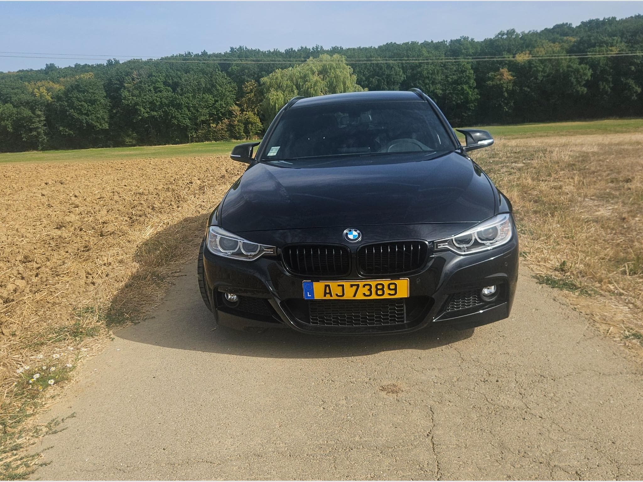 BMW 328 M Sport (2013) - Photo 6