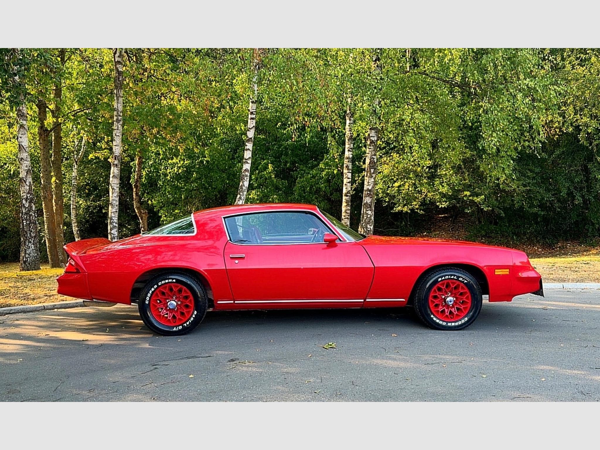 Chevrolet Camaro 5.0 V8 LT (1979) - Photo 3