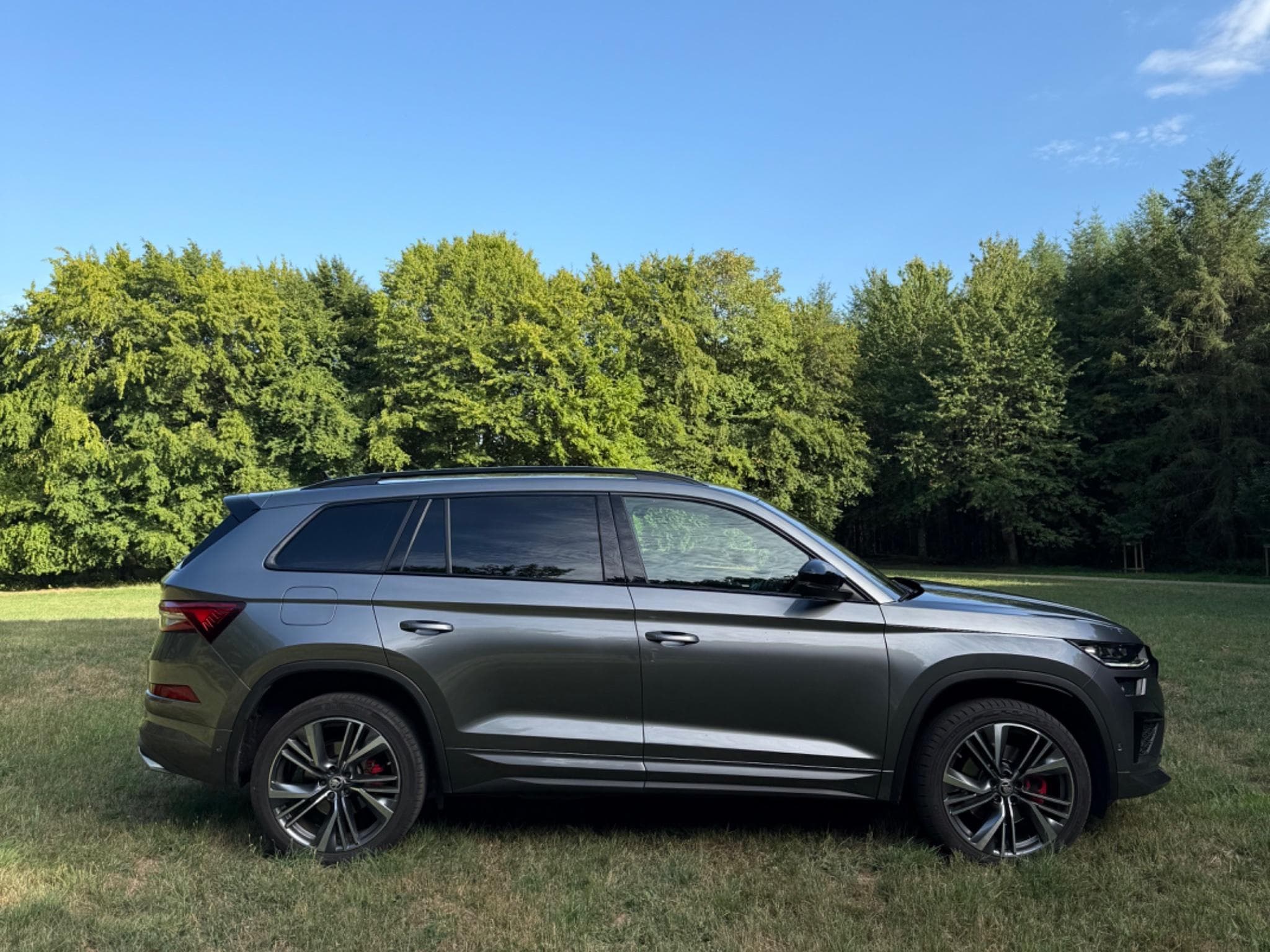Skoda Kodiaq RS (2022) - Photo 2