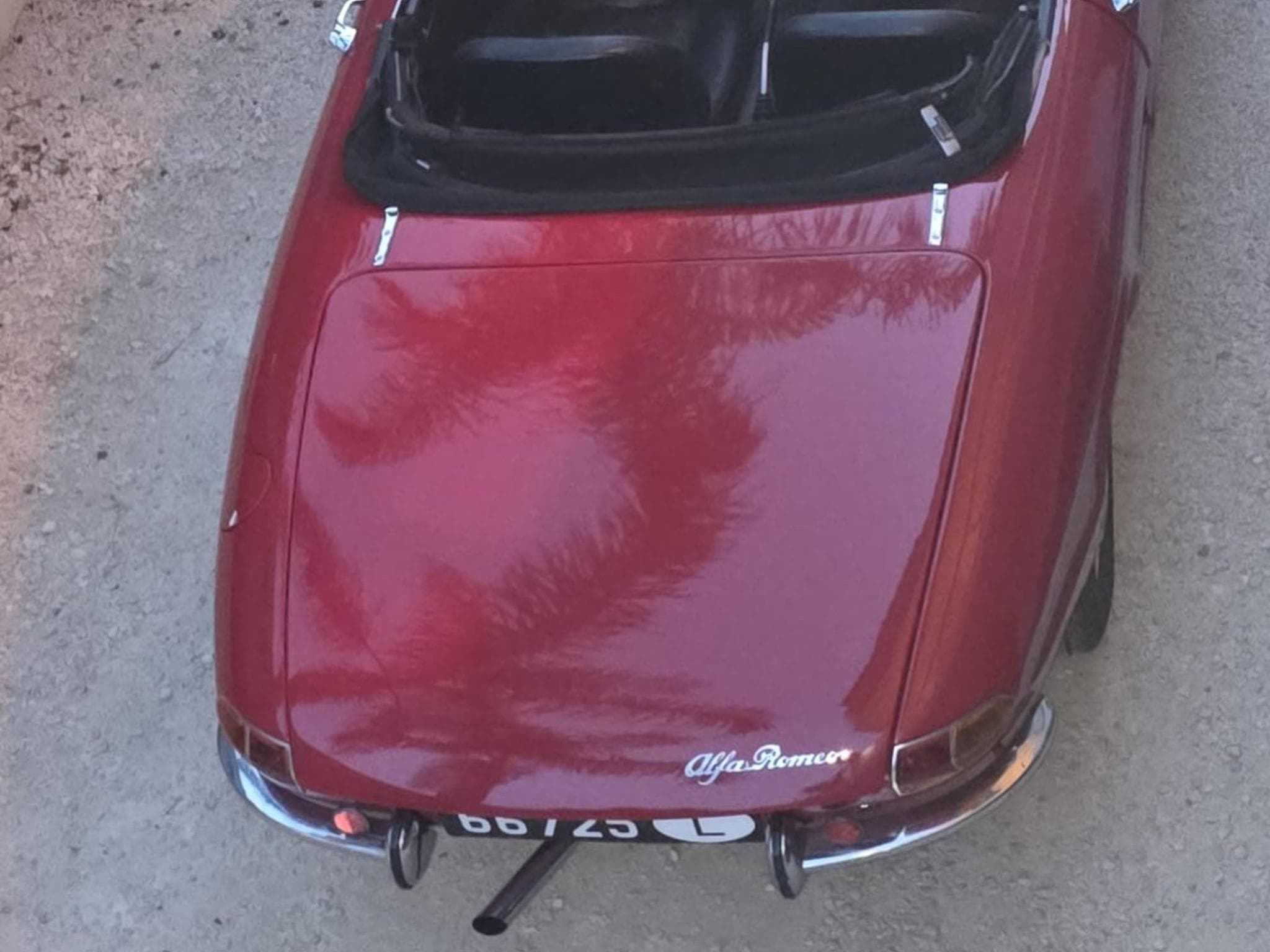 Alfa-Romeo Spider Duetto (1966) - Photo 2