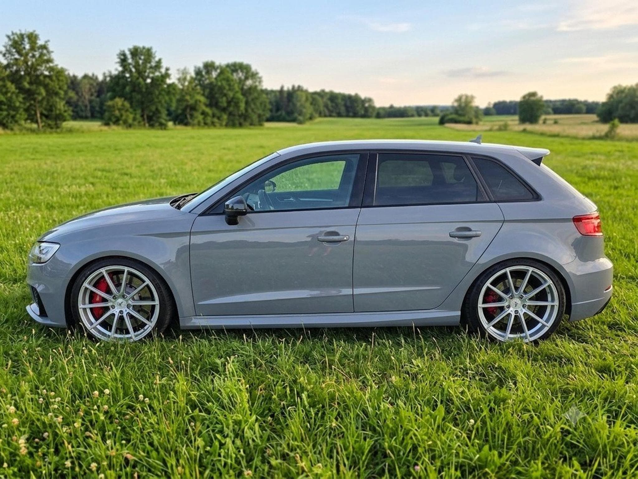 Audi RS3 DAZA FL (2018) - Foto 2