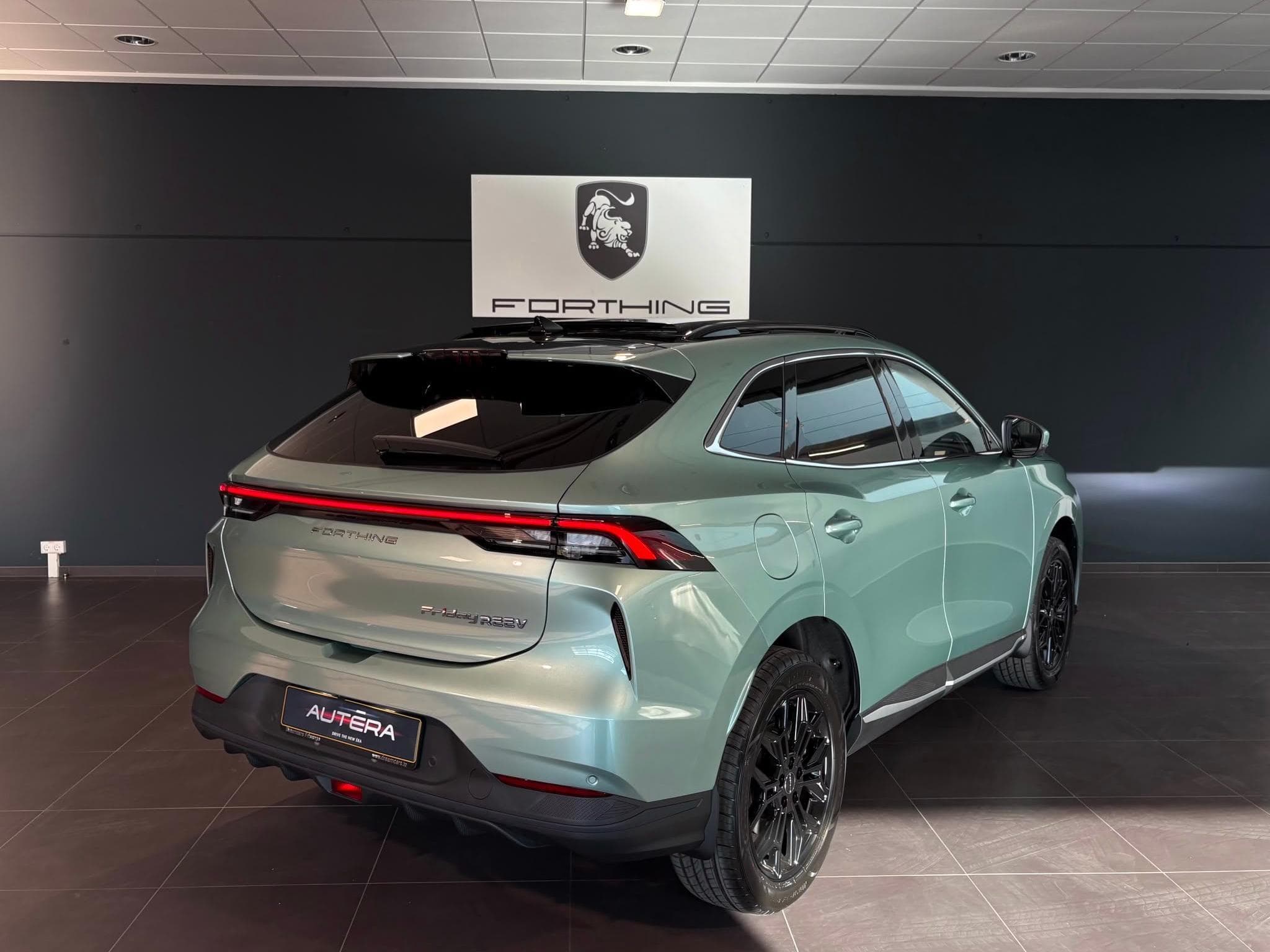 Forthing Friday REEV FULL OPTIONS (2026) - Photo 4