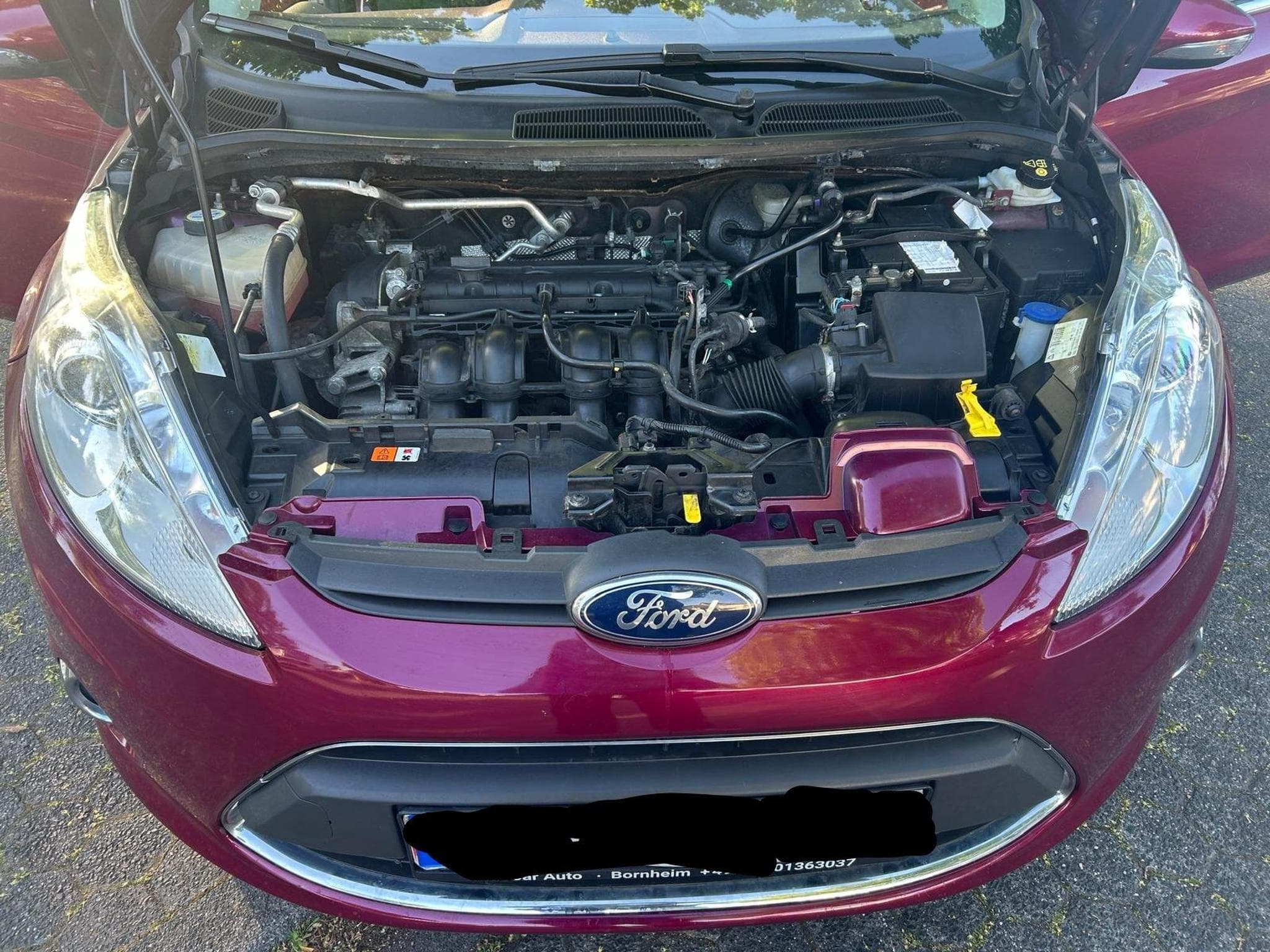 Ford Fiesta (2010) - Photo 2