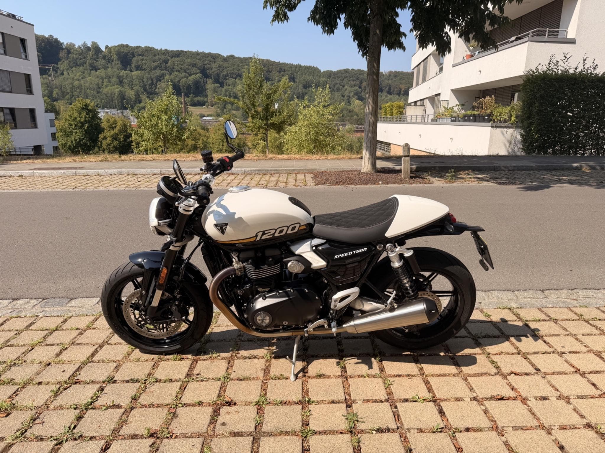Triumph Speed Twin 1200 (2025) - Foto 15