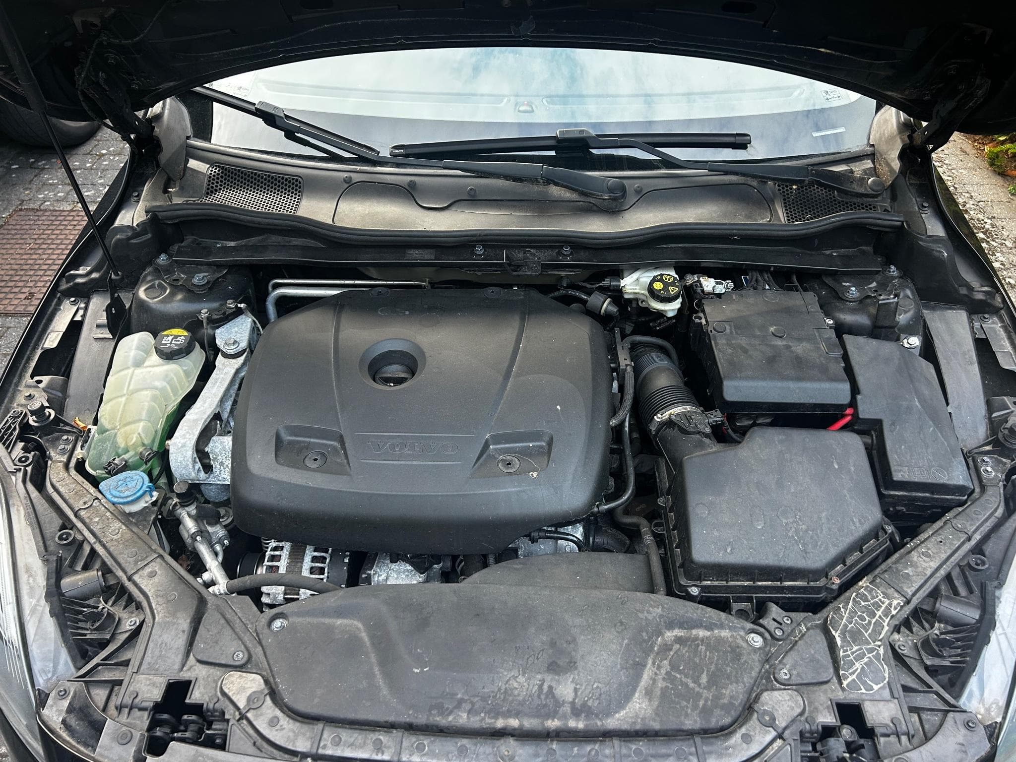 Volvo V40 (2016) - Foto 4