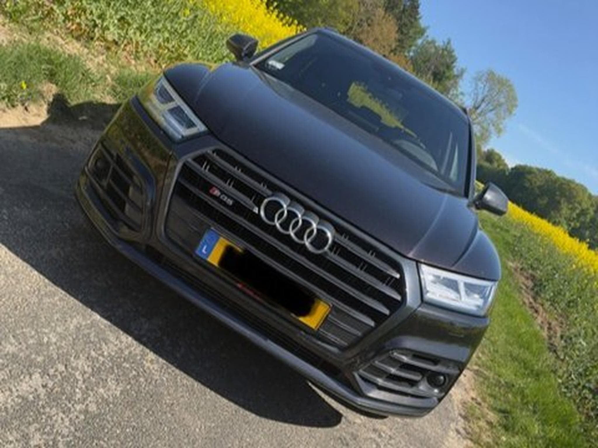 Audi SQ5 (2018) - Photo 1