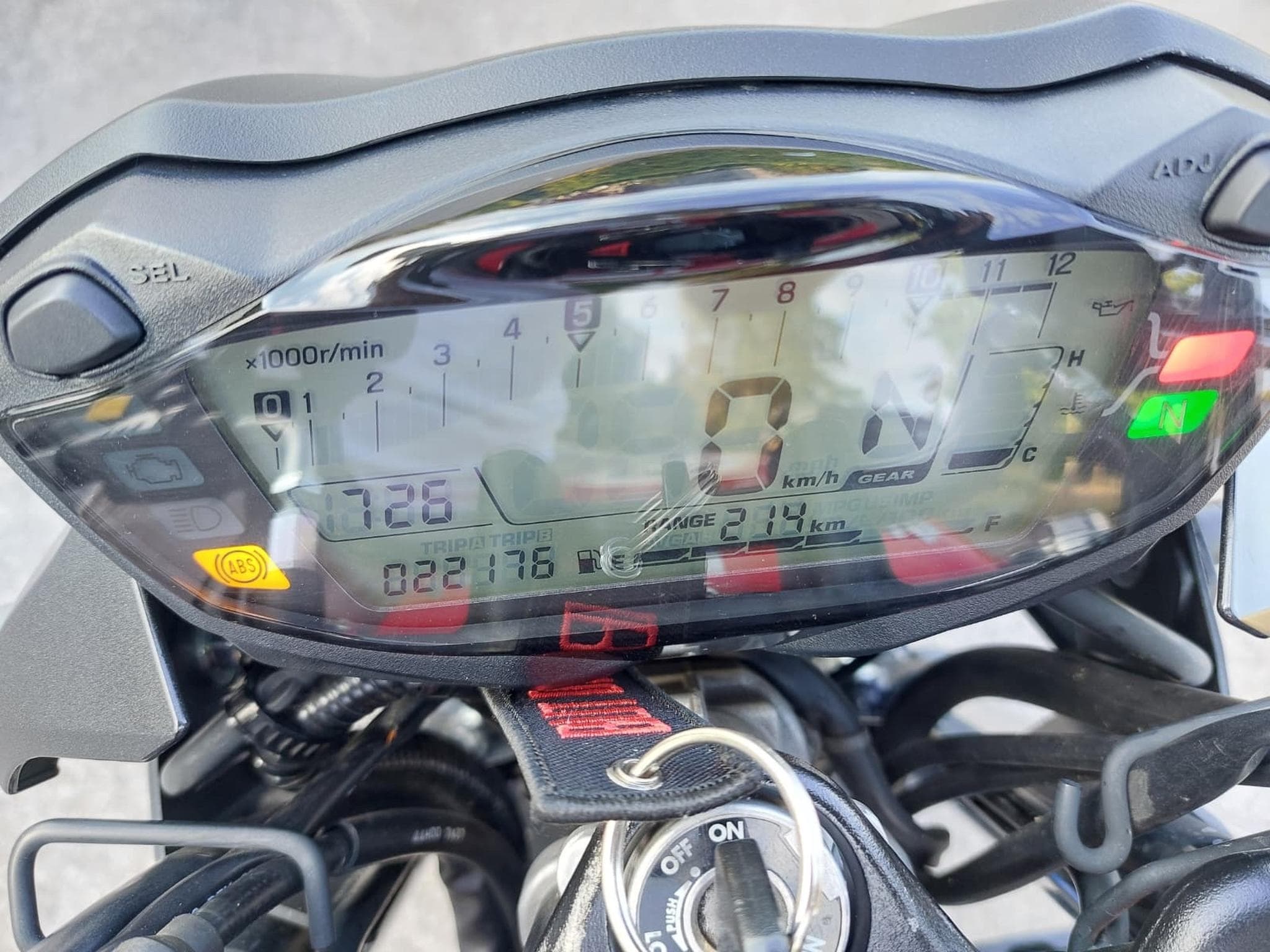 Suzuki SV SV 650 (2019) - Photo 7
