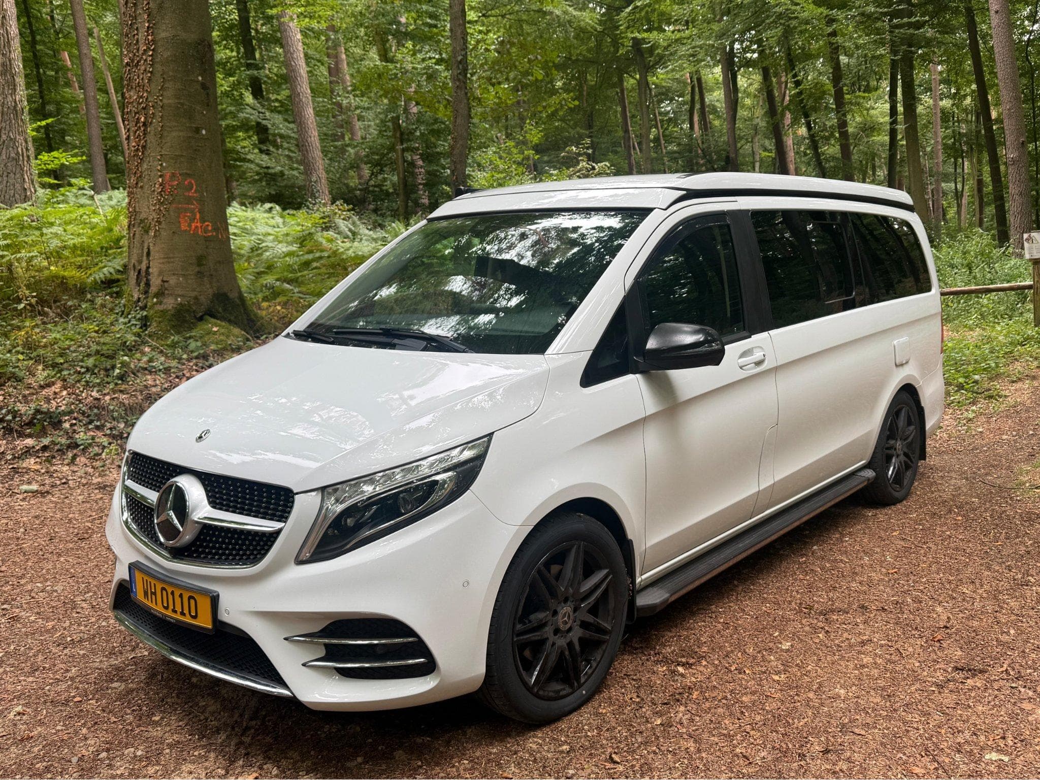 Mercedes Classe V V300d 4Matic Marco Polo AMG Line (2019) - Photo 2