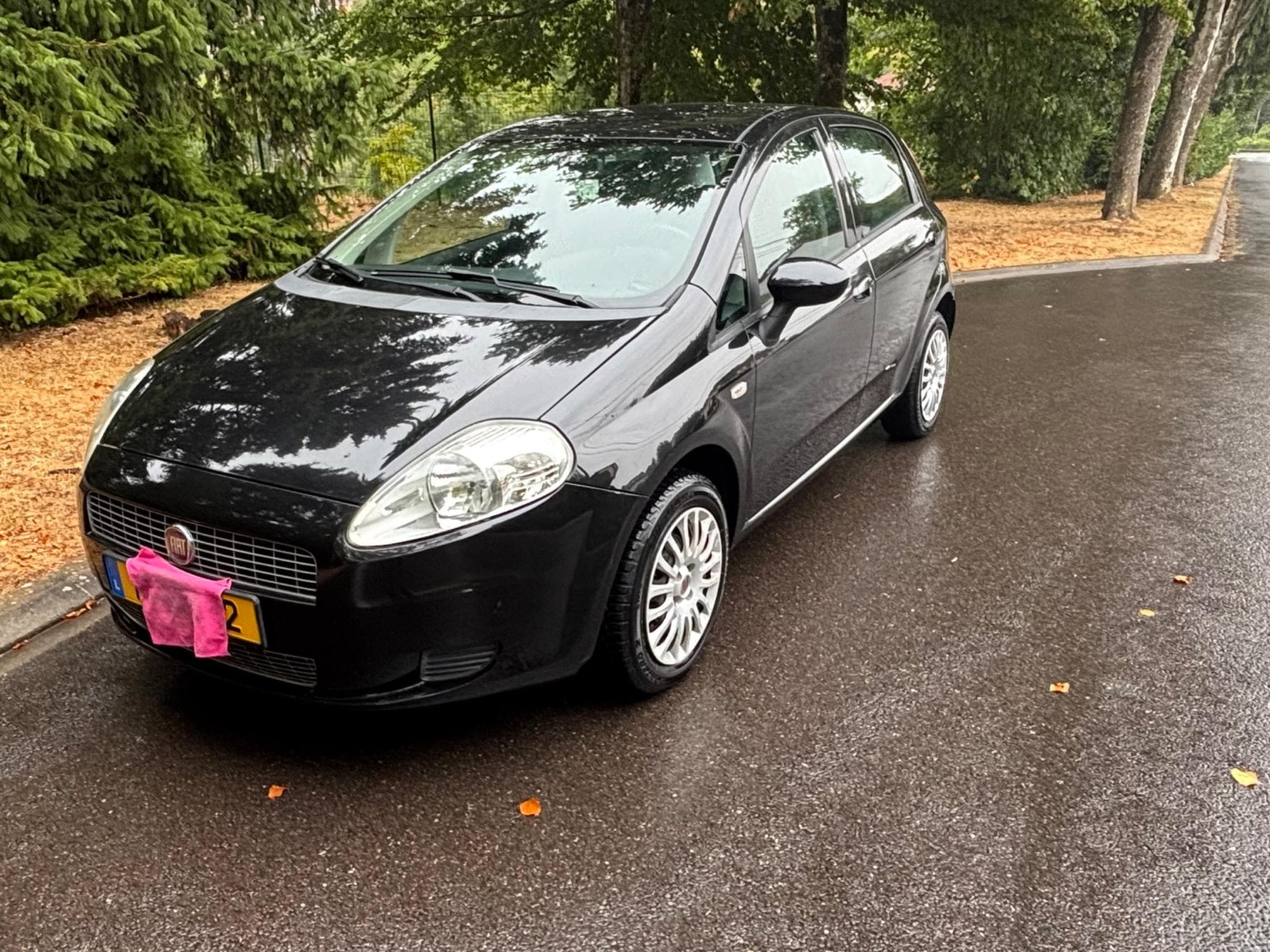 Fiat Punto Evo (2010) - Foto 1