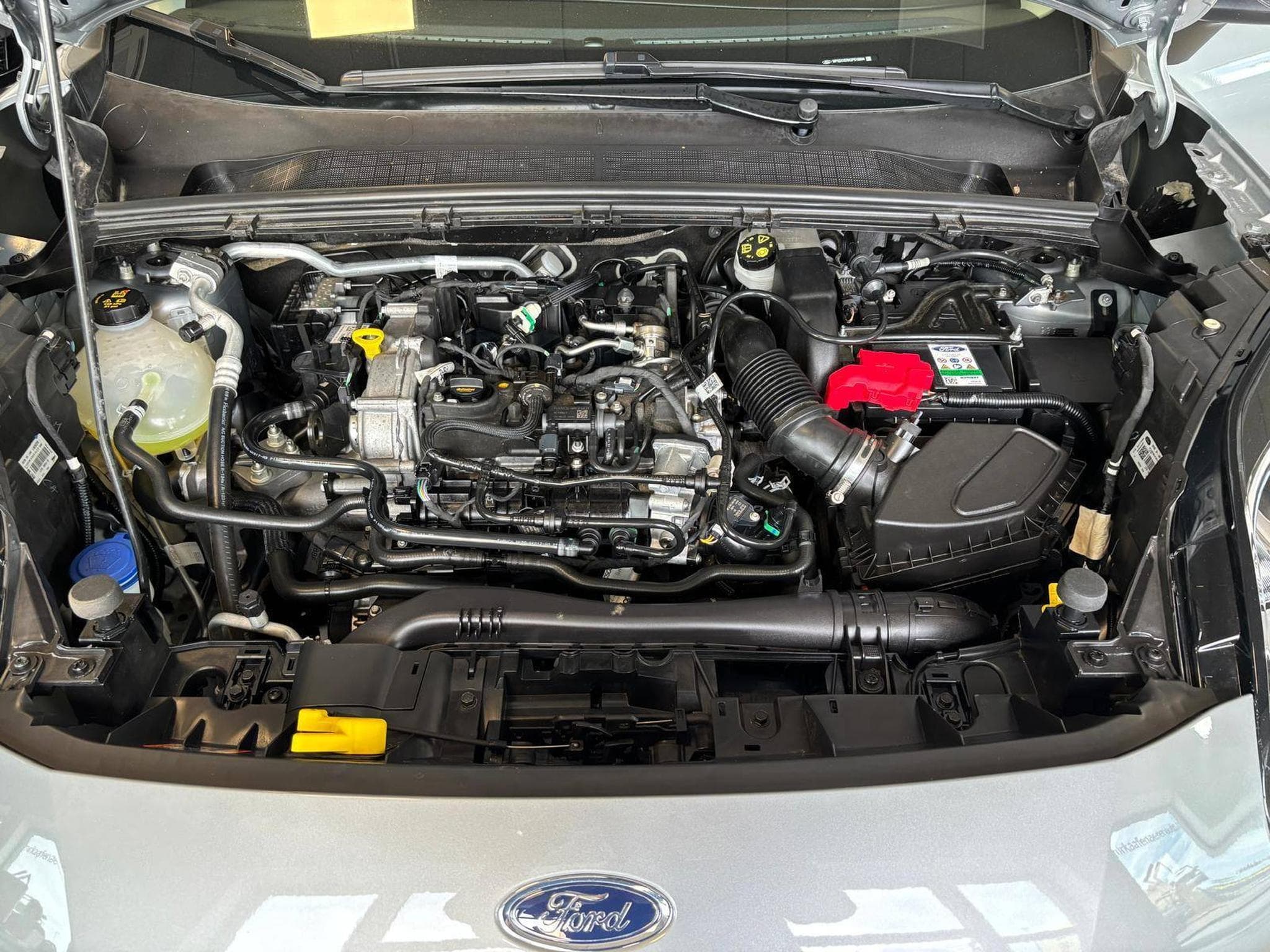 Ford Puma Titanium (2023) - Photo 14
