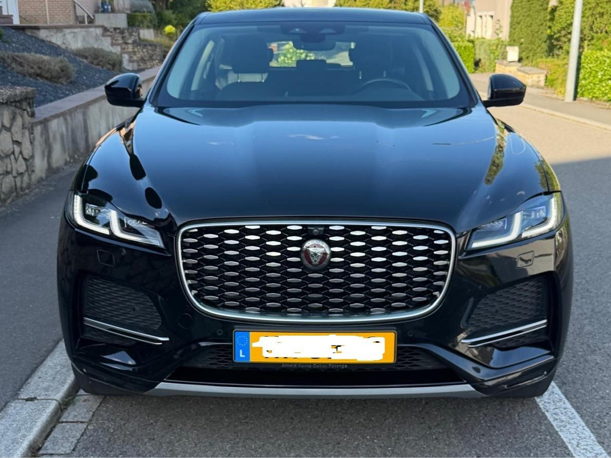 Jaguar F-Pace D165 R-Dynamic S AWD Auto Mild Hybrid (2021) - Photo 1