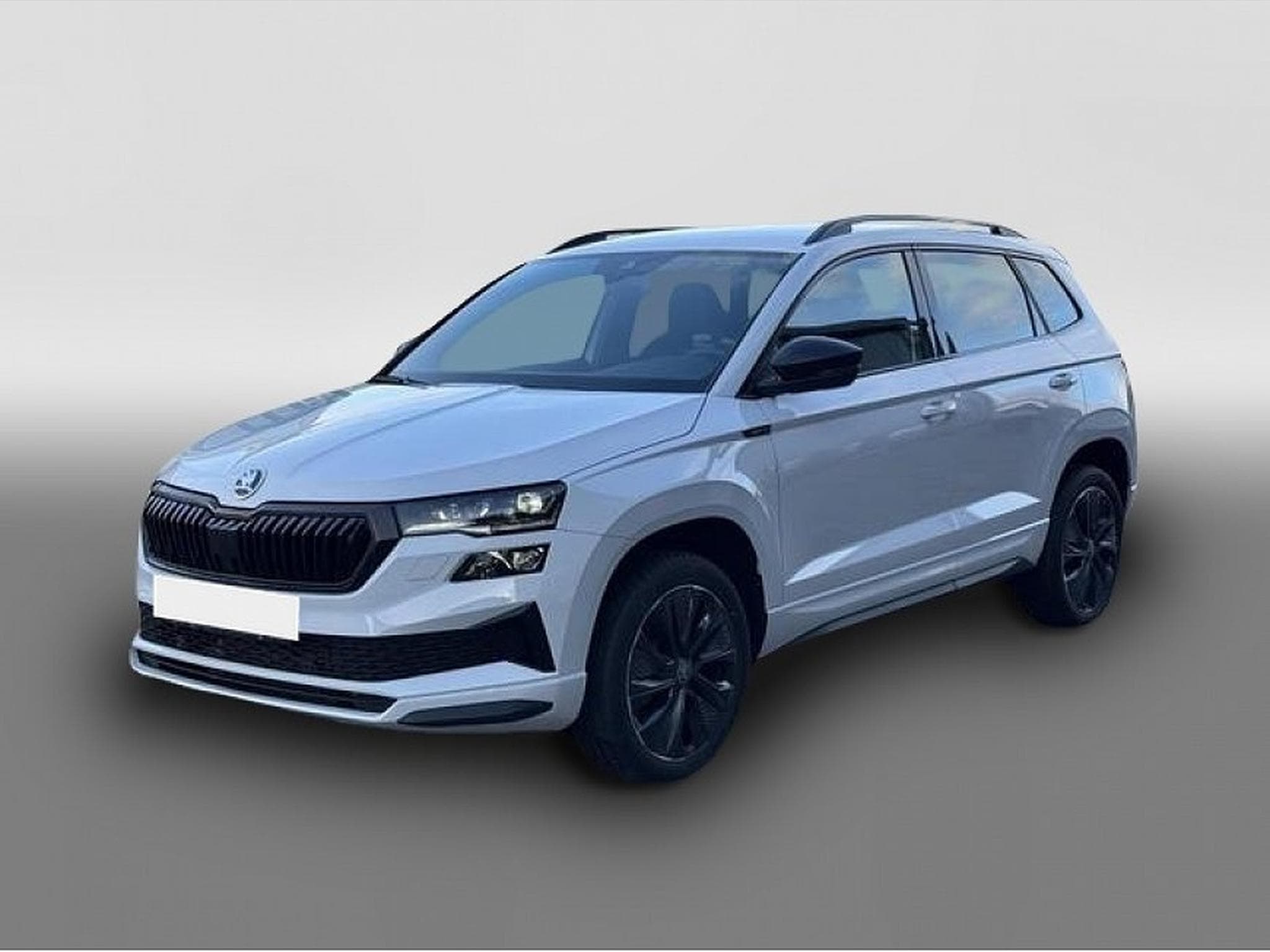 Skoda Karoq (2025) - Photo 1
