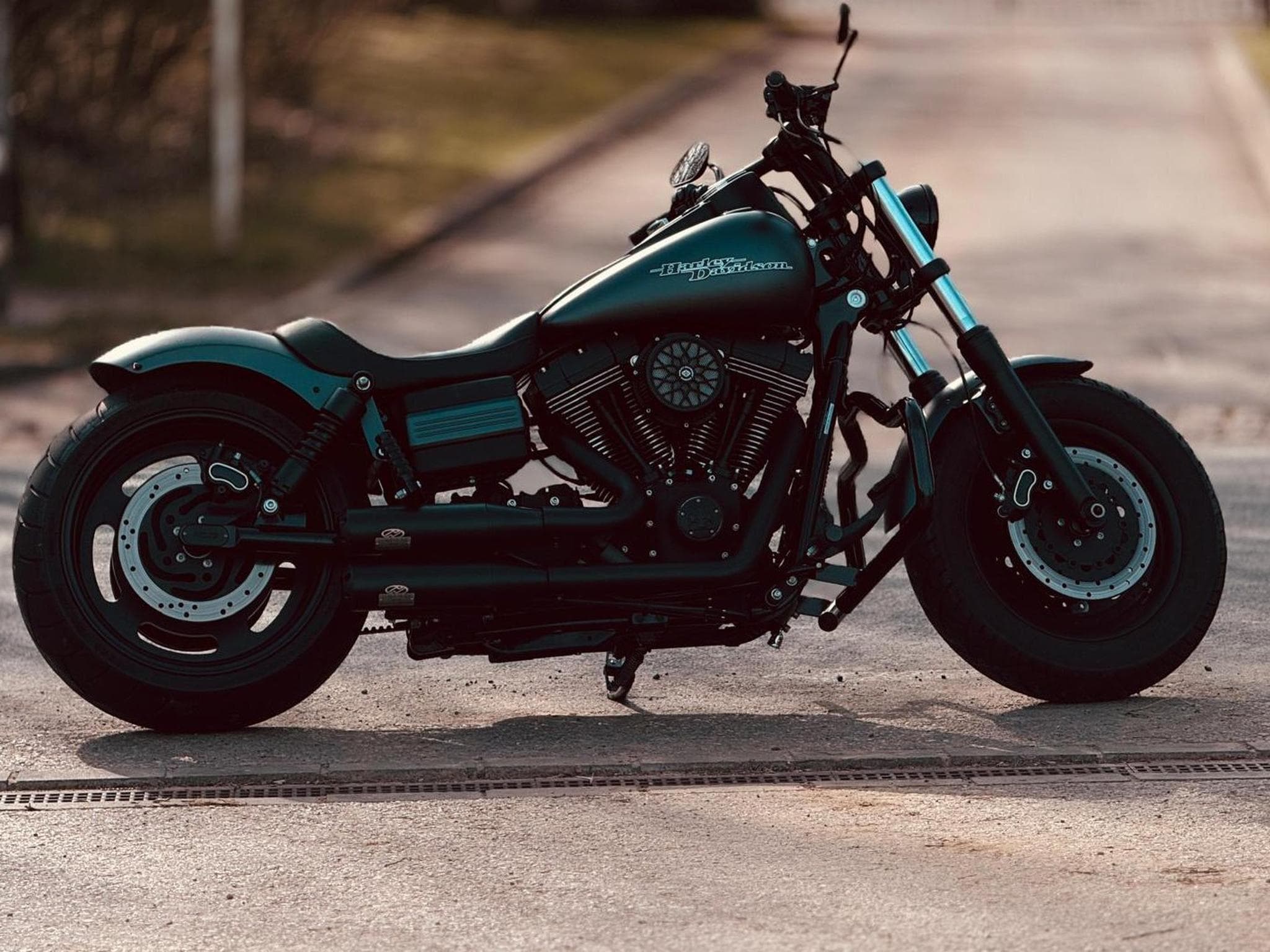 Harley-Davidson Dyna Fat Bob Ricks Custom (2009) - Photo 2