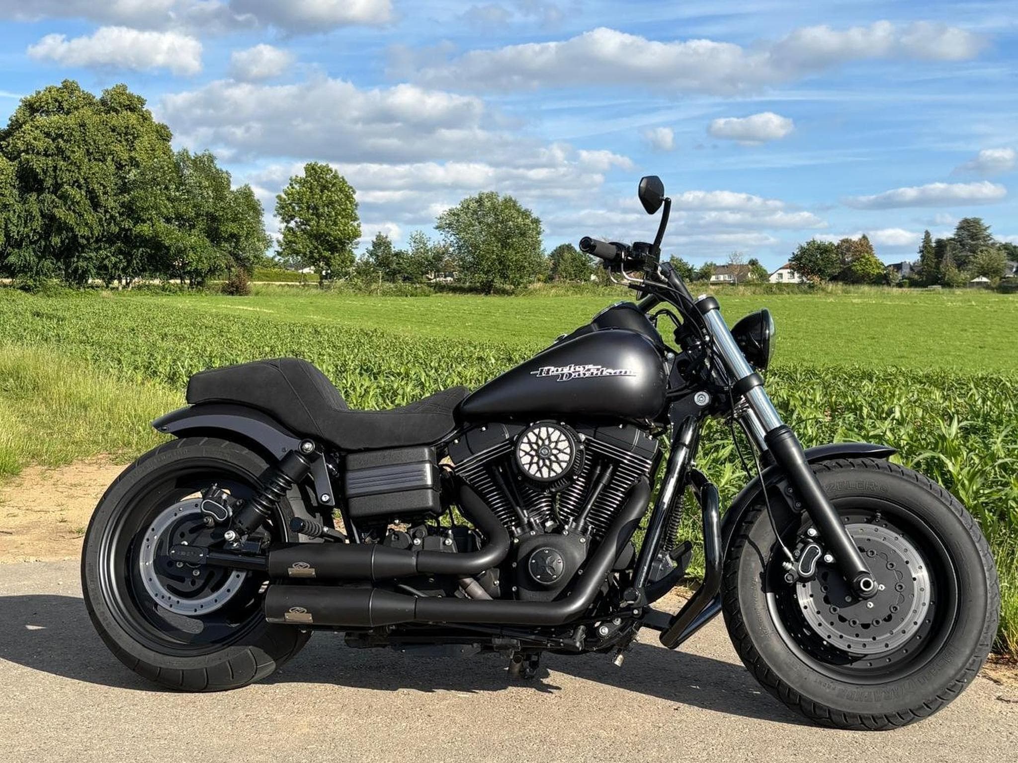 Harley-Davidson Dyna Fat Bob Ricks Custom (2009) - Photo 3