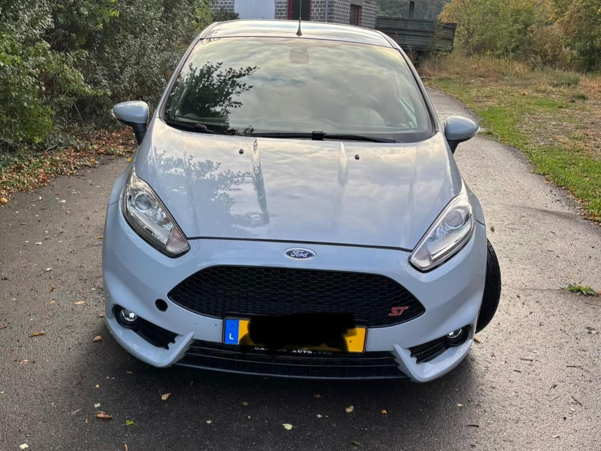 Ford Fiesta St200 (2016) - Photo 1