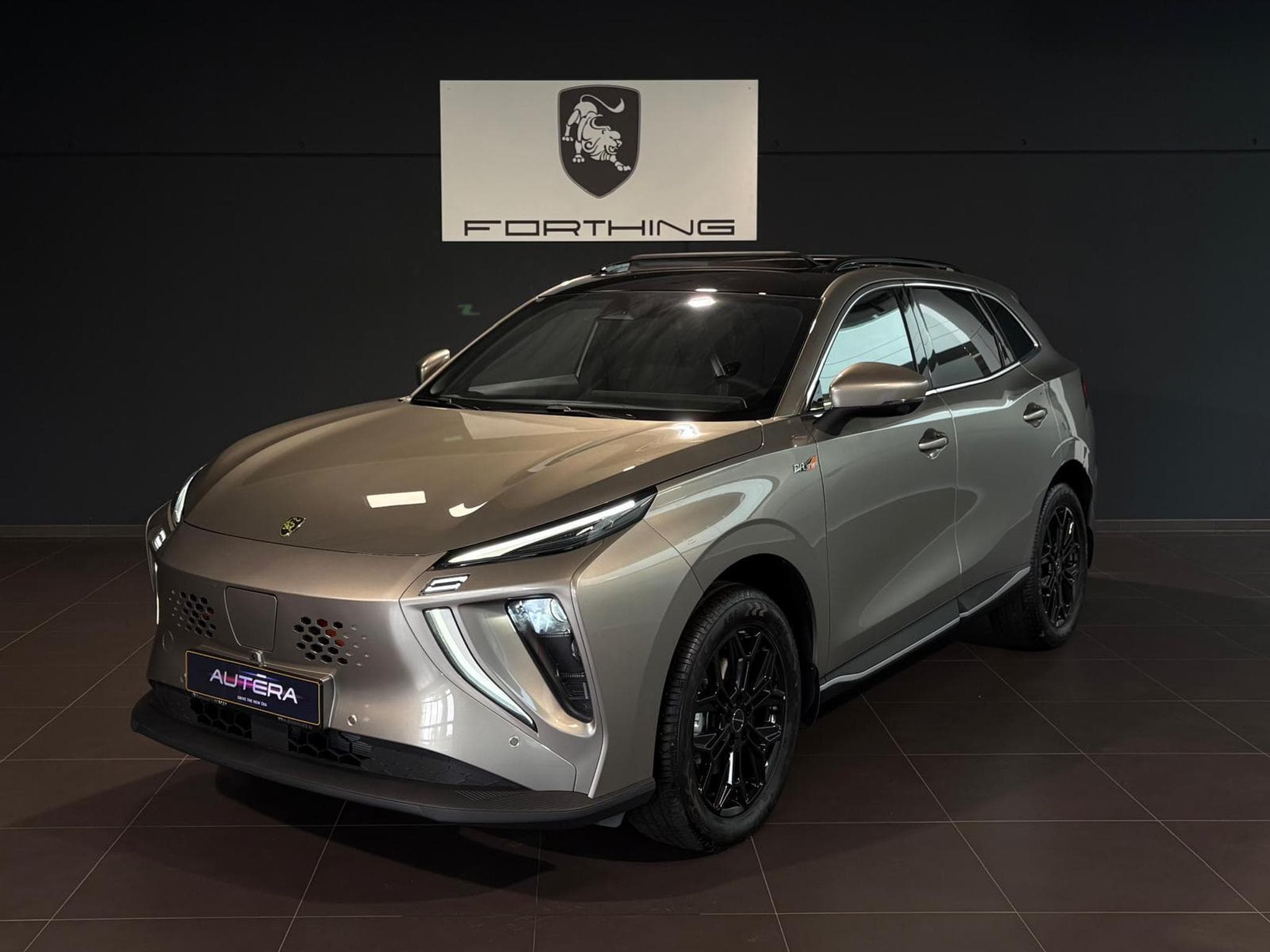 Forthing Friday ELECTRIQUE FULL OPTIONS (2026) - Foto 1