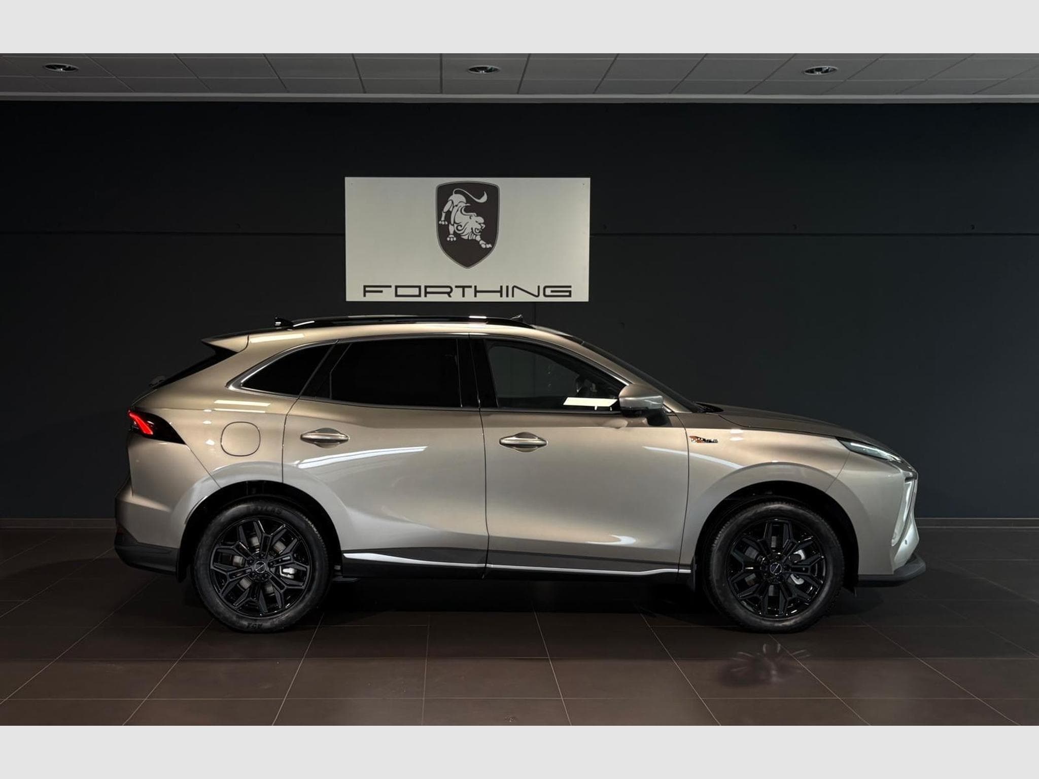 Forthing Friday ELECTRIQUE FULL OPTIONS (2026) - Foto 3