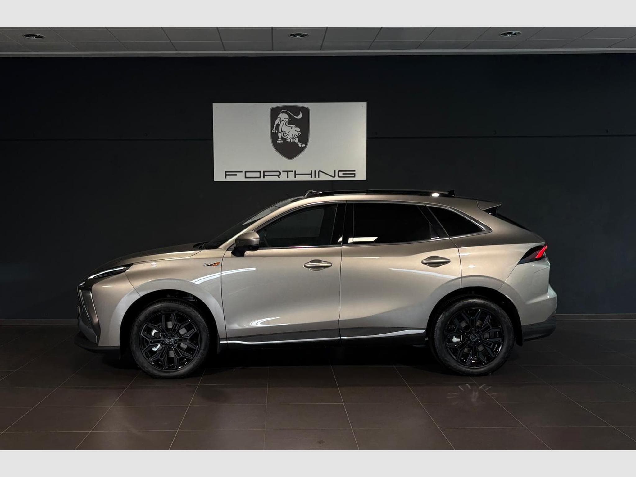 Forthing Friday ELECTRIQUE FULL OPTIONS (2026) - Foto 2