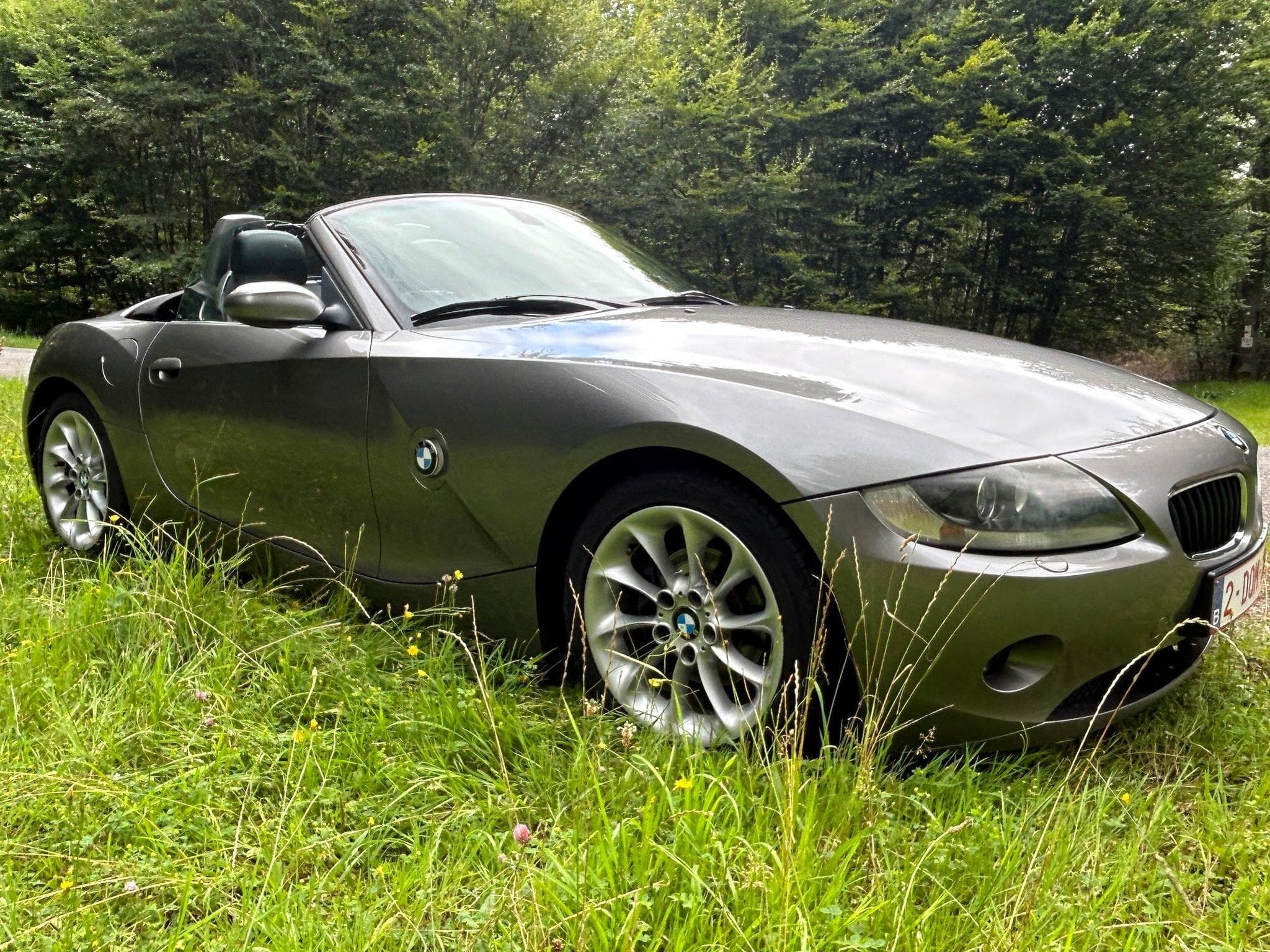BMW Z4 (2004) - Photo 4